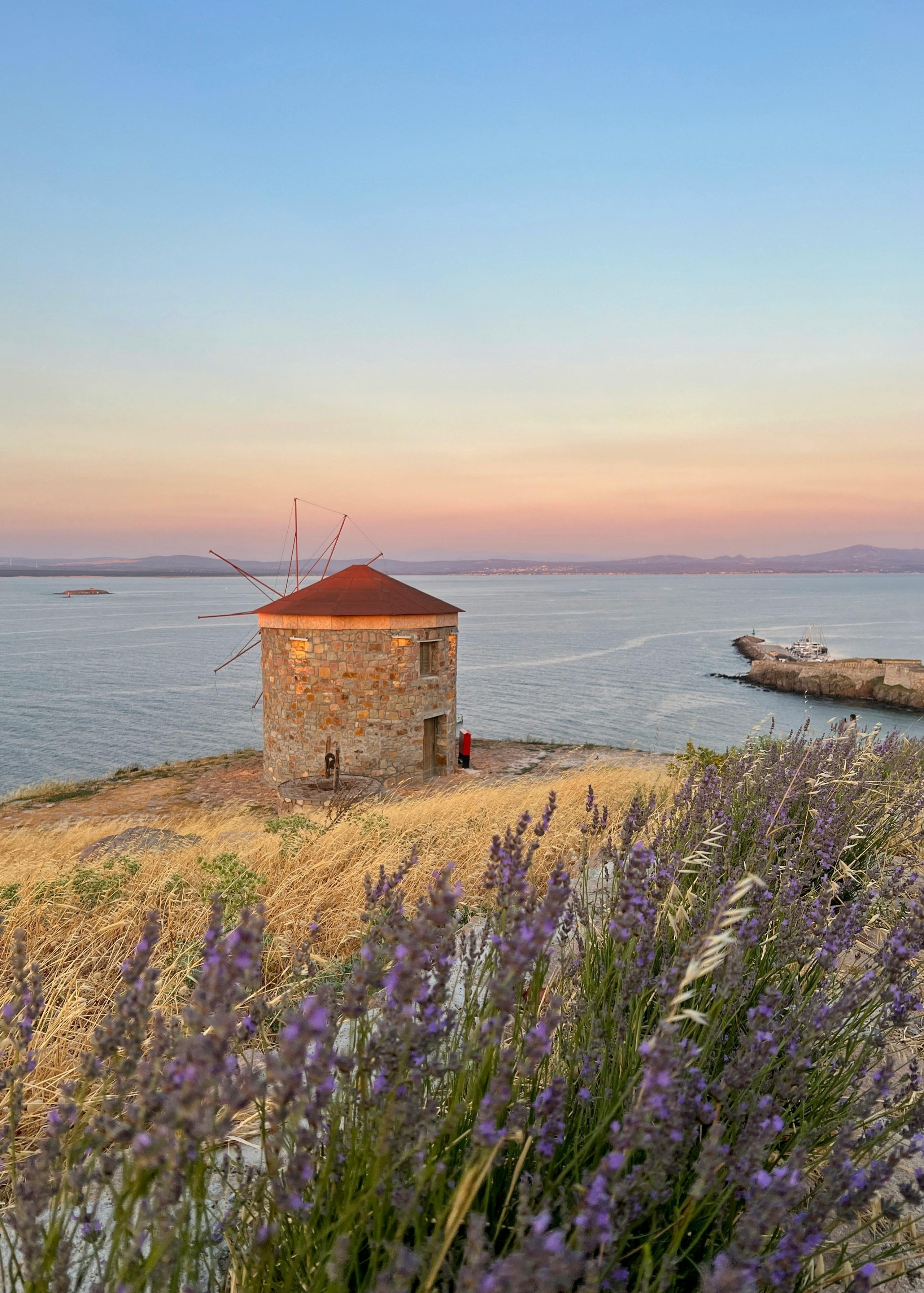 Троя и Остров Бозджаада. Lavi de Rêve (travel)