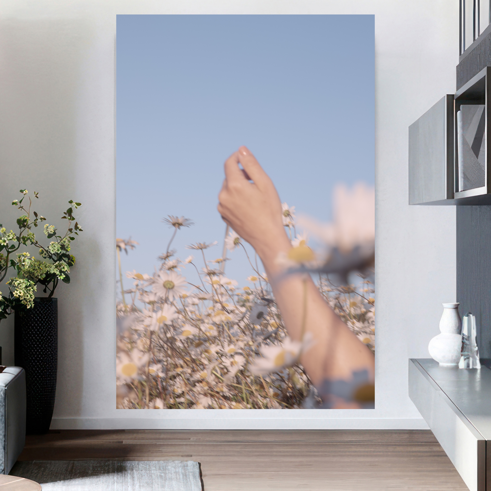 DAISIES. Natalja Poplavska — Visual artist, Photographer, East Sussex, London