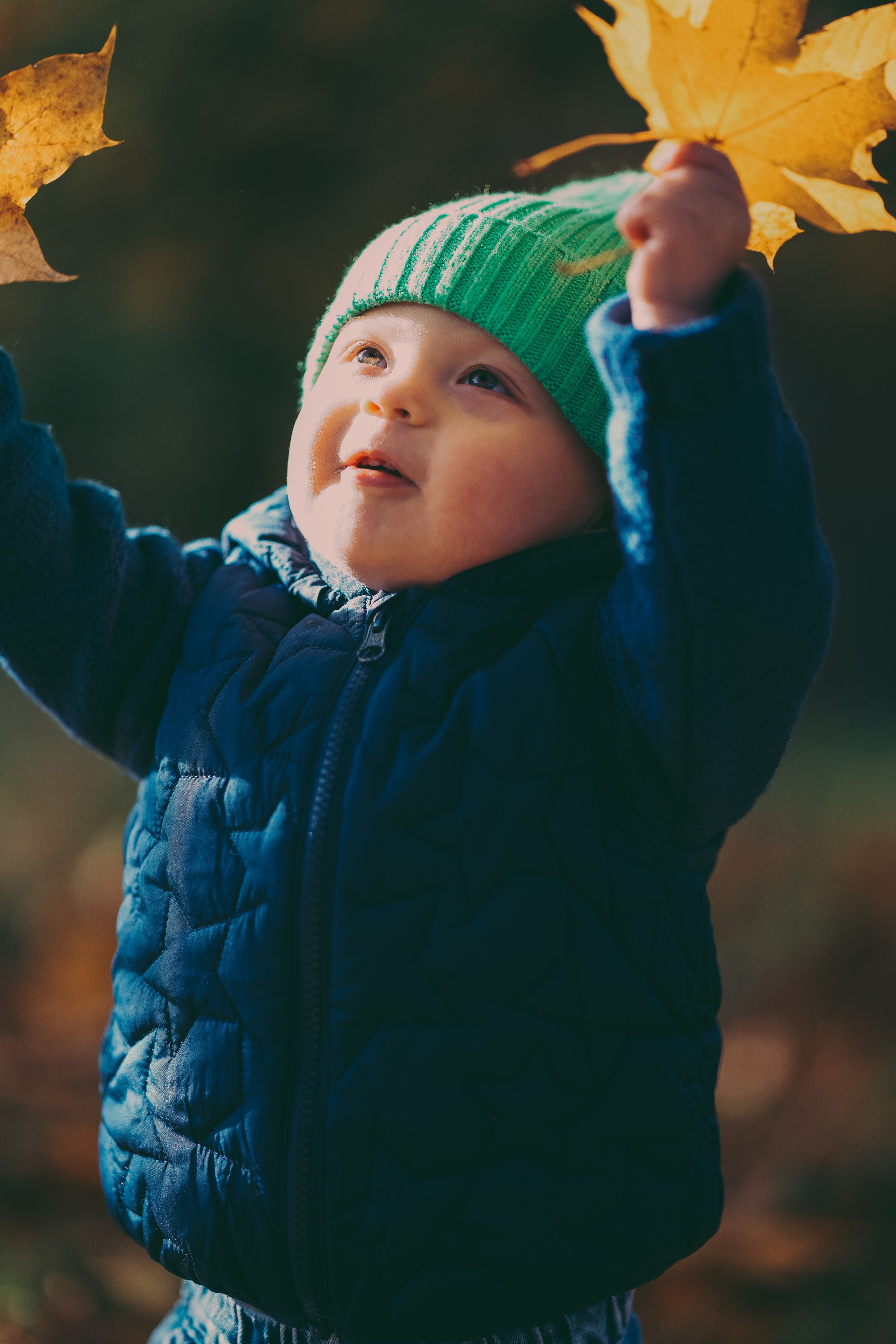 Family photo shoot in Brueton park