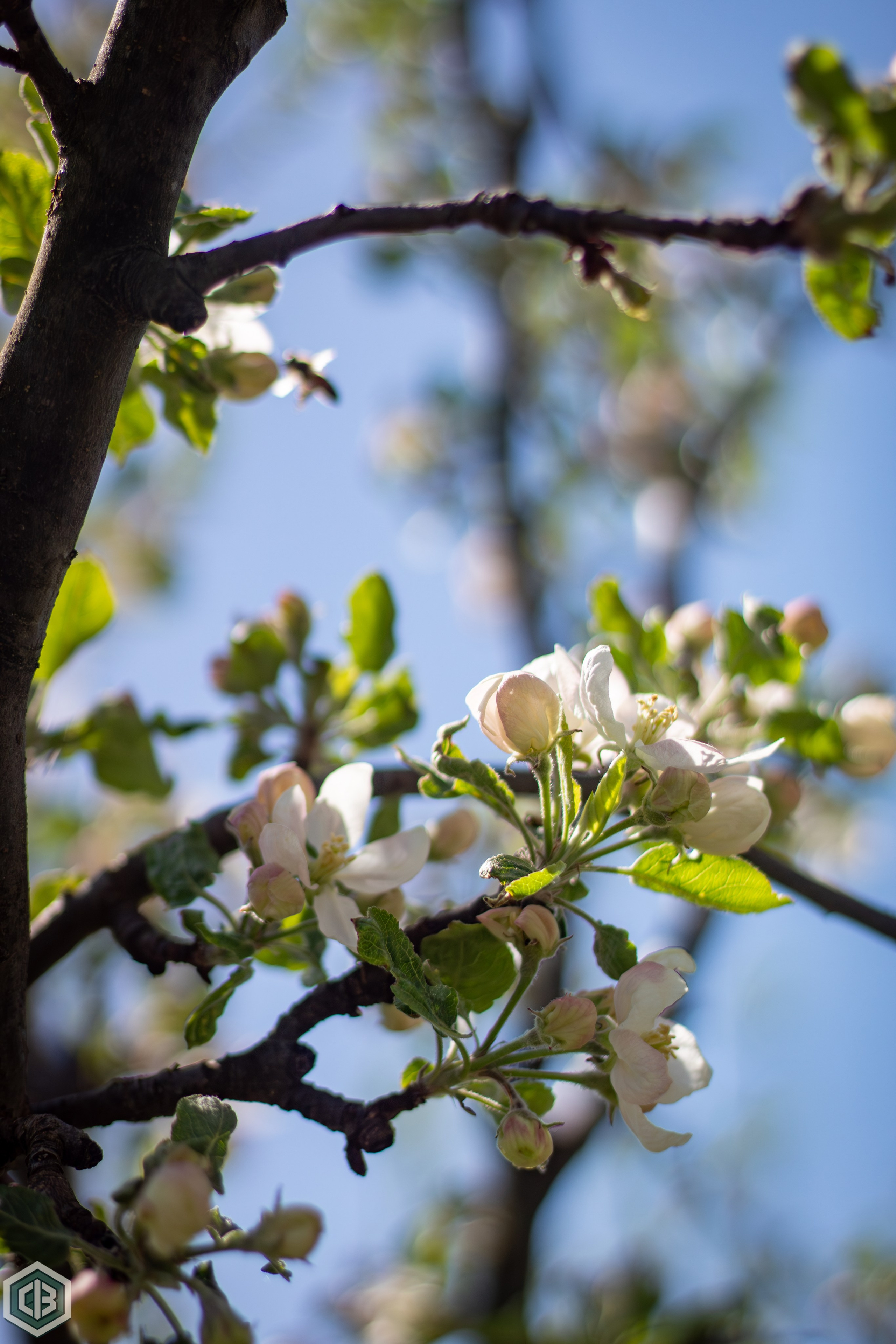 Trip to Mileanca. Cristian Baltag | Photography | Capturing Moments in Iasi