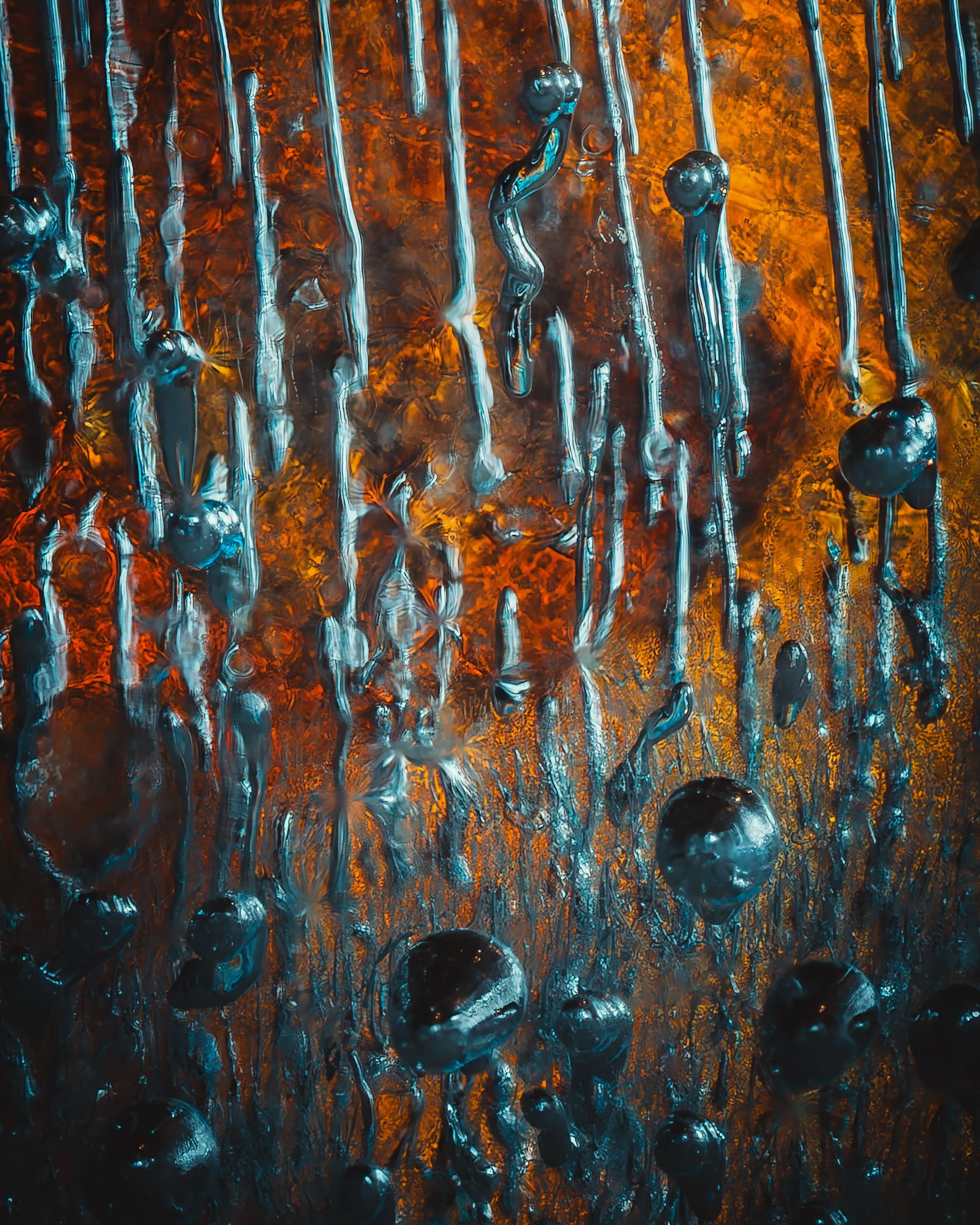 Creative Macro Photographer & Content Creator in Birmingham, UK — Lee Hall