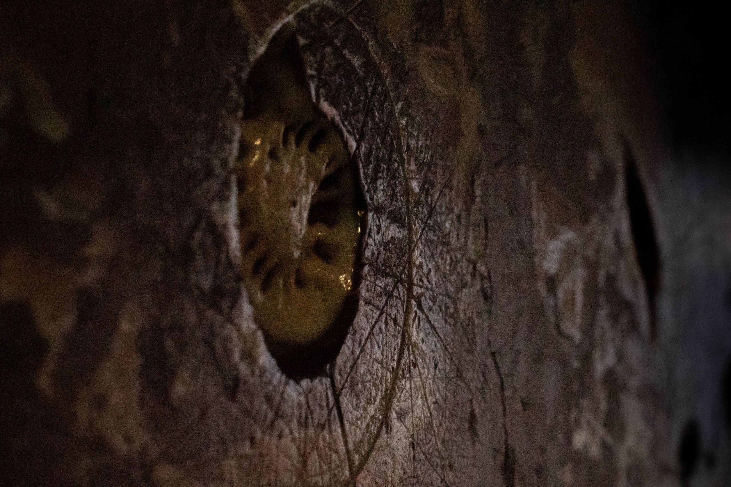 Primitive Man. Stanislava Novgorodtseva — Photographer | Visual Artist | Educator