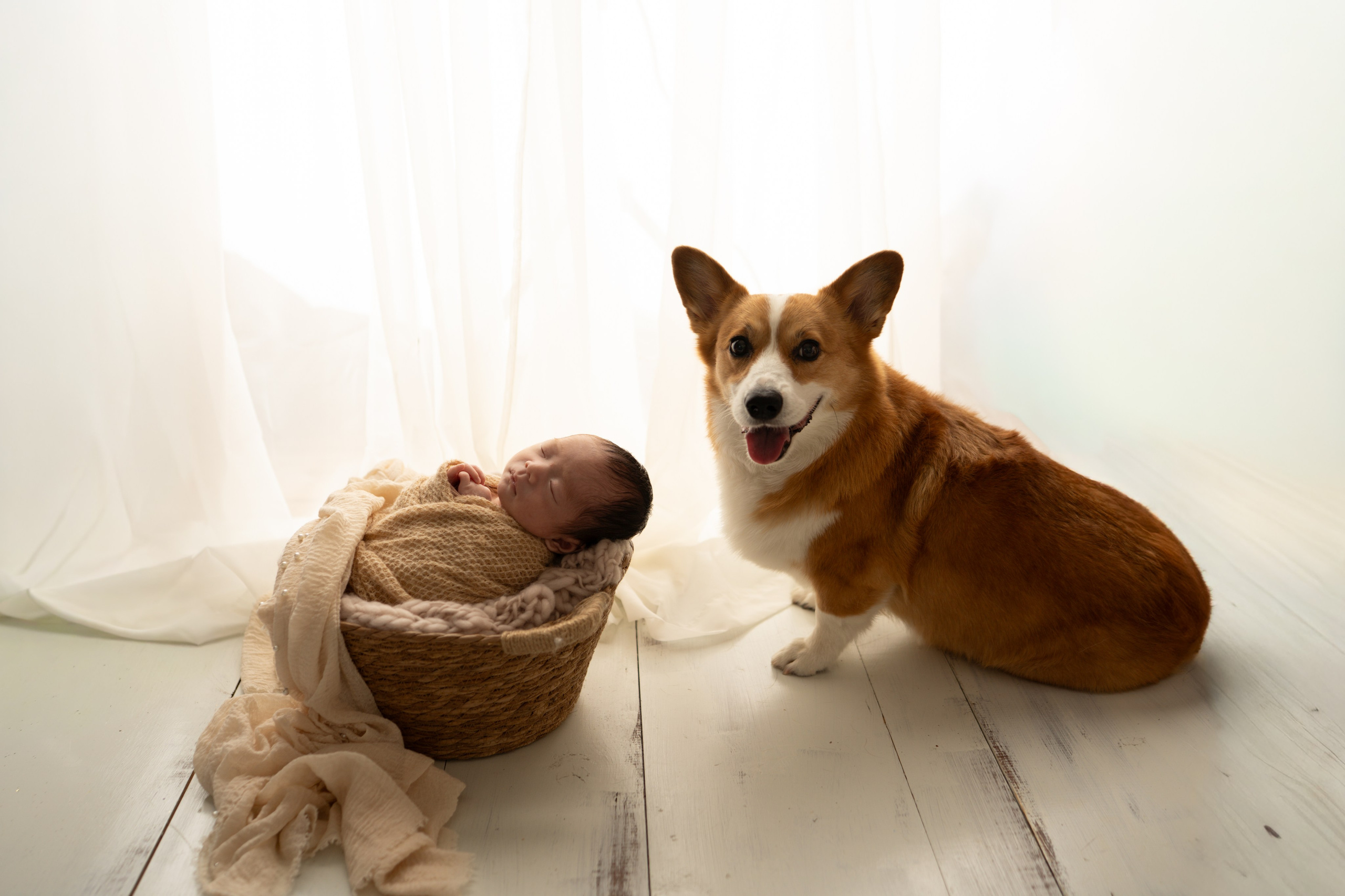 Newborn+Family. Maternity, family and newborn photography in San Francisco Bay Area