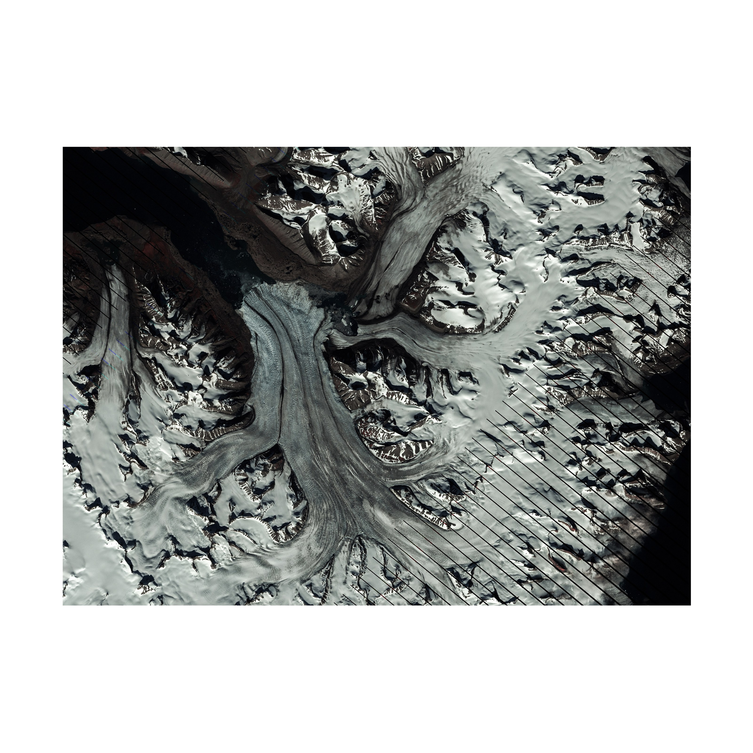 Willingness to freeze. Nelly Elagina