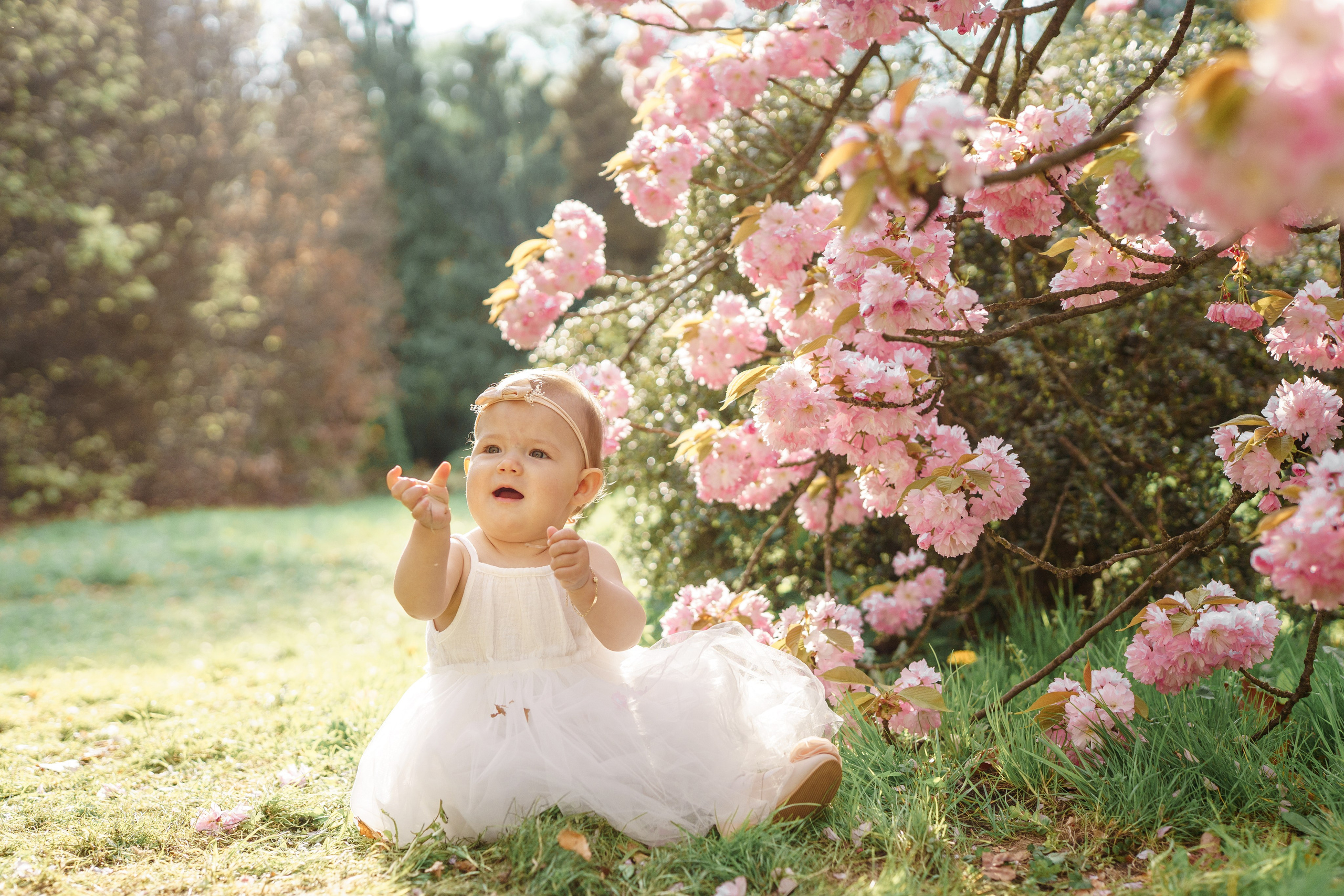 Sesja w plenerze. Fotograf Łódź - sesja ciążowa, noworodkowa, dziecięca. Studio w Łodzi