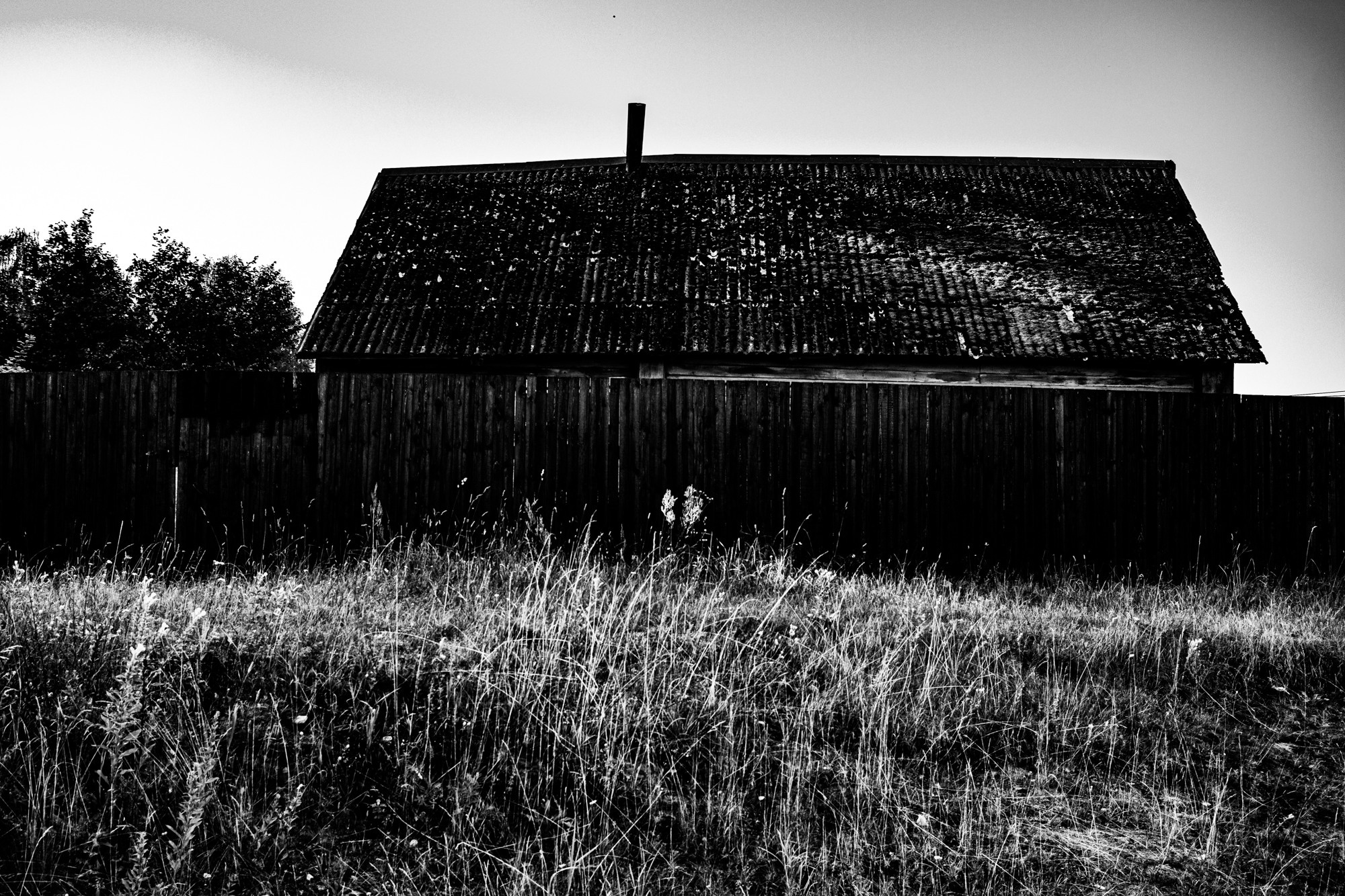 Sisters. Tatiana Kireicheva
