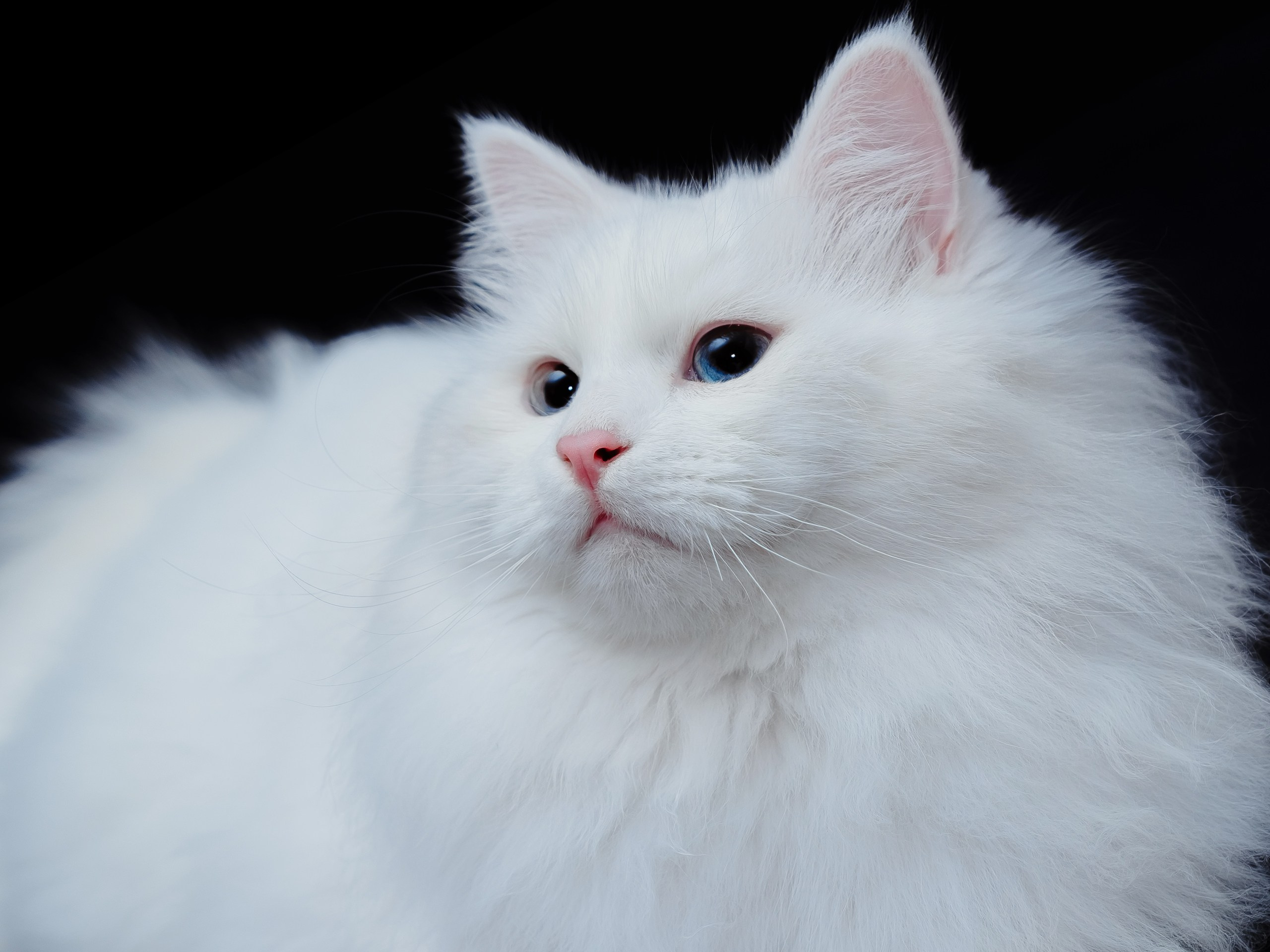 Photographer Татьяна