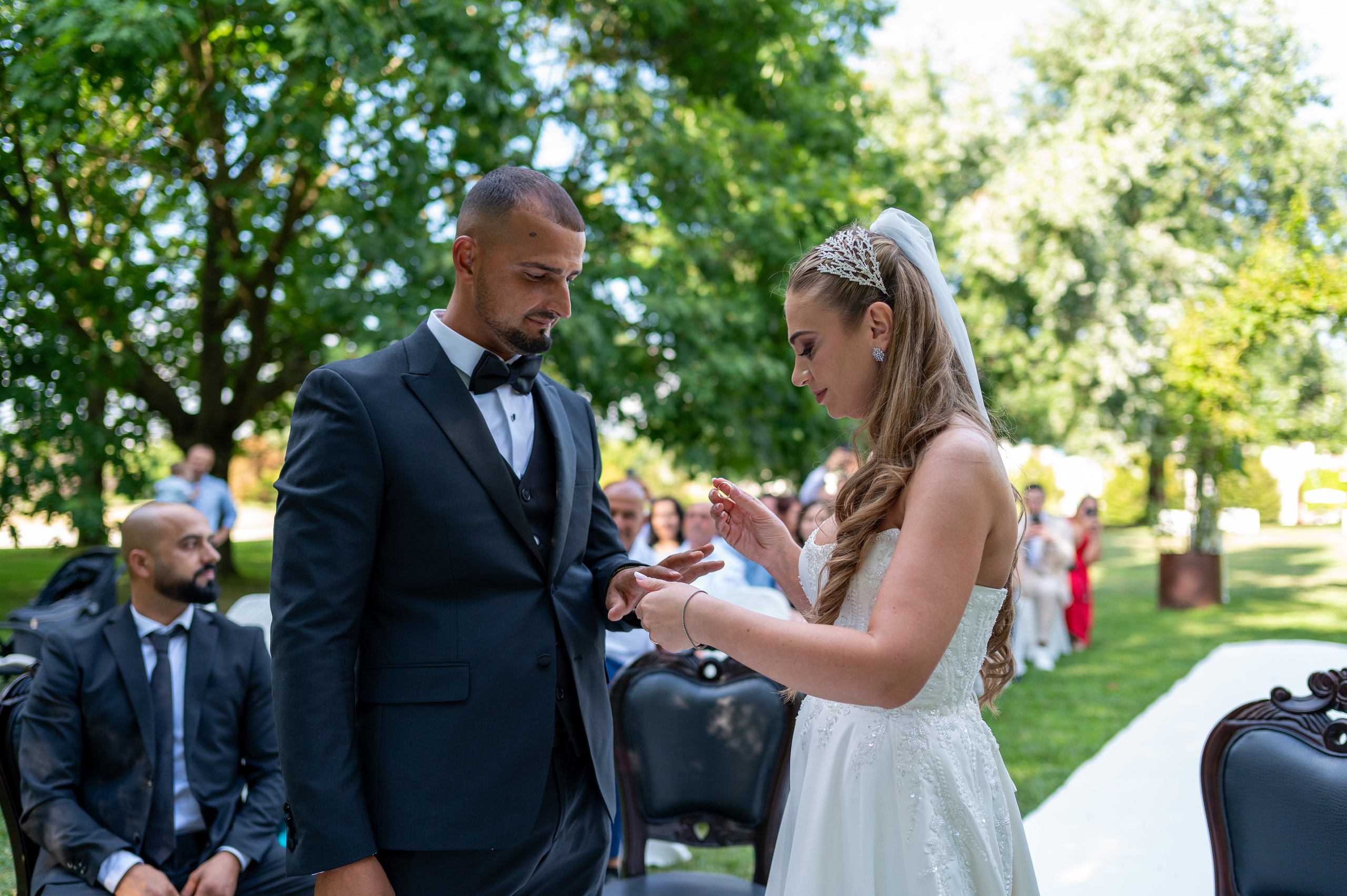 Daniel Rotaru Photography