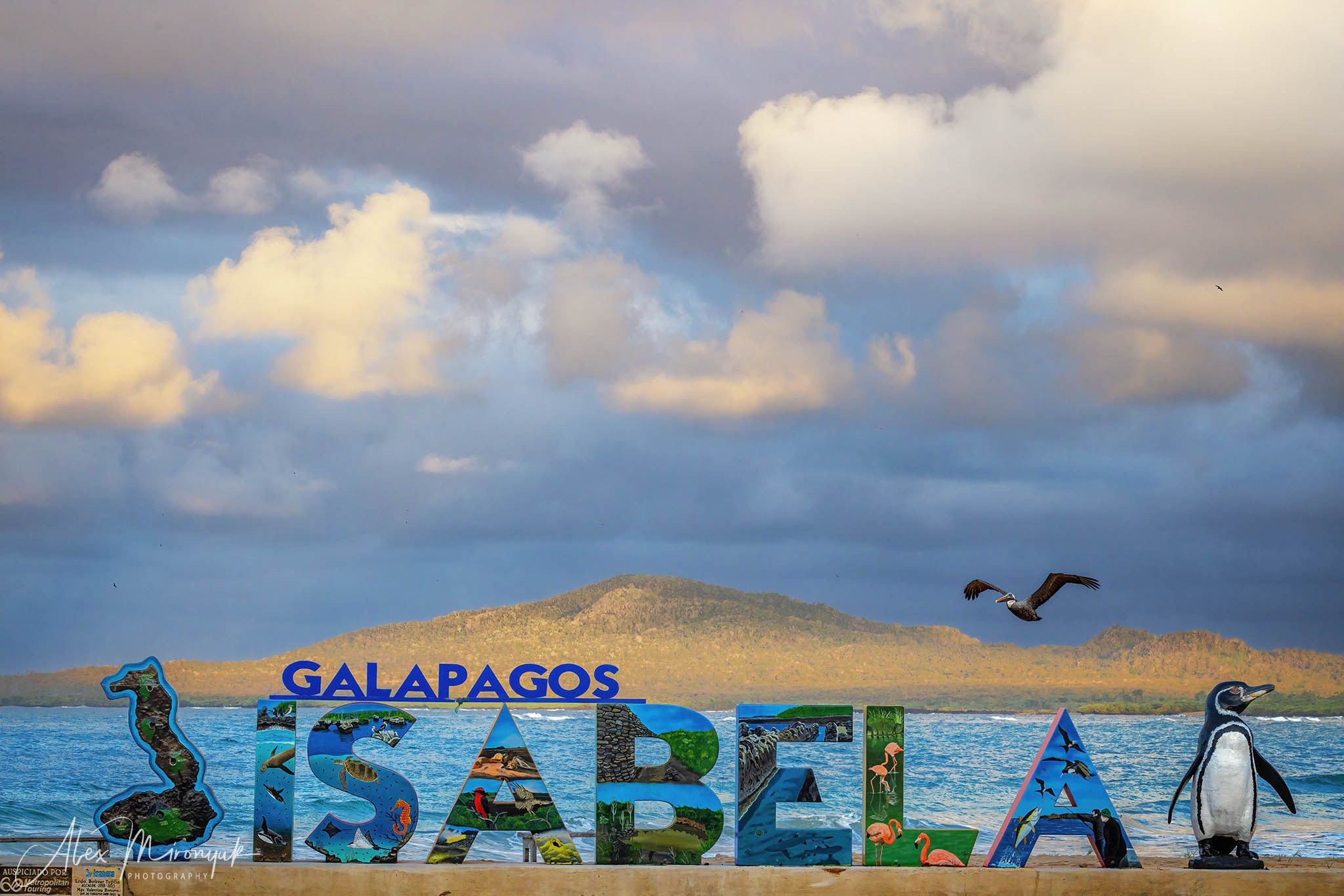 Galapagos Islands Adventure. Alex Mironyuk Photography