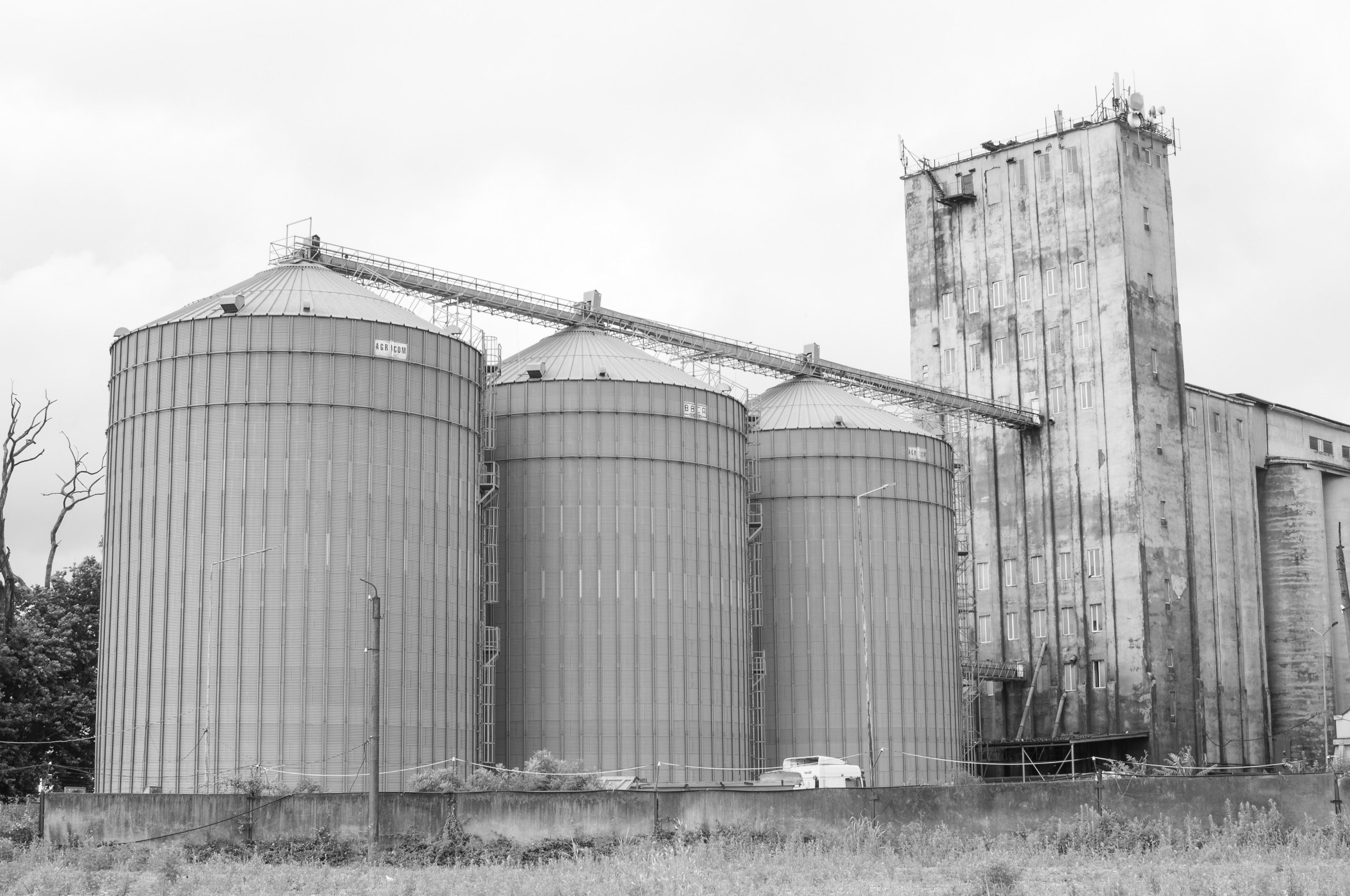 Under the Phasis' Sun. Mayya Kelova artist