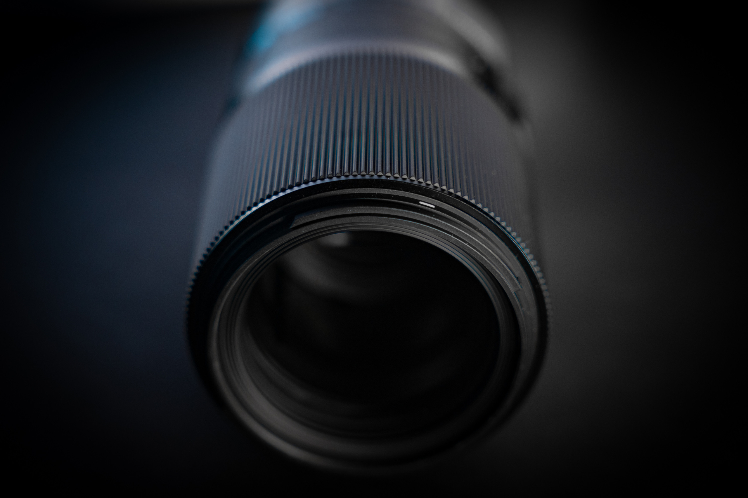 SIGMA 105 mm F2.8 macro DG DN Art. Фотограф Григорий Кравец