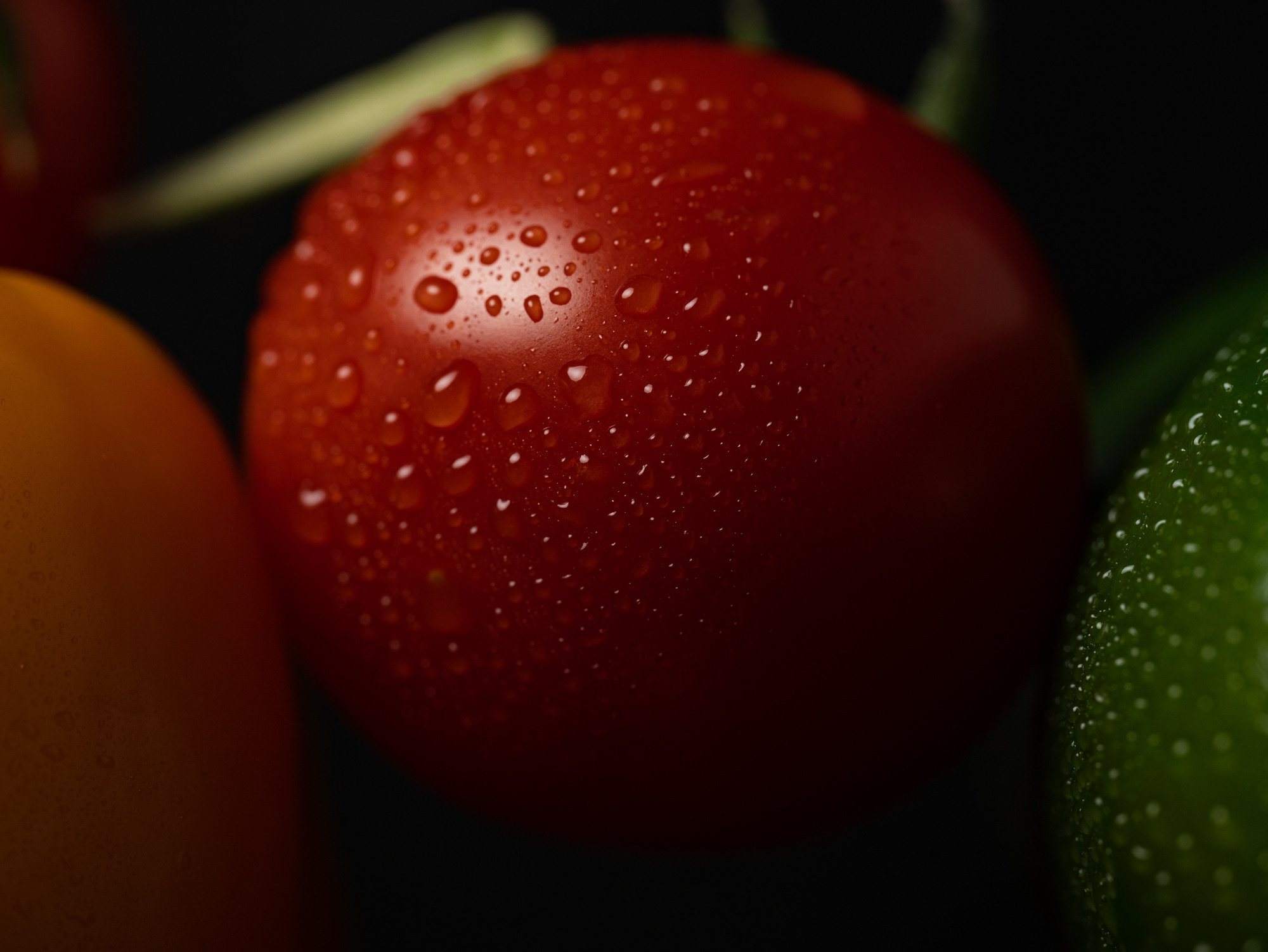 SIGMA 105 mm F2.8 macro DG DN Art. Фотограф Григорий Кравец
