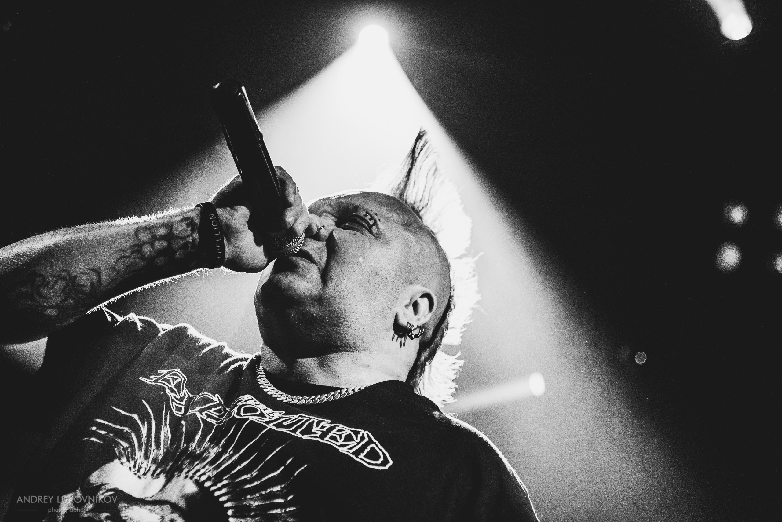 The Exploited. Tour 2017