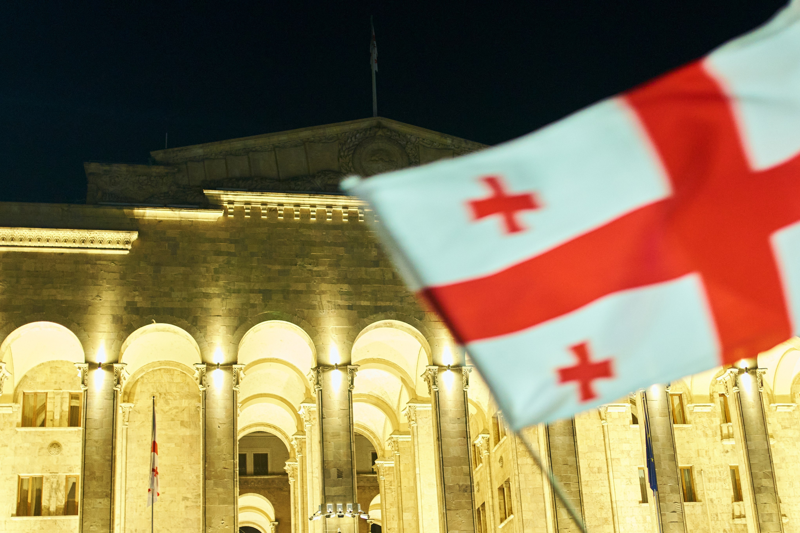 Georgia against «foreign law»/ არა რუსულ კანონს. Visual artist