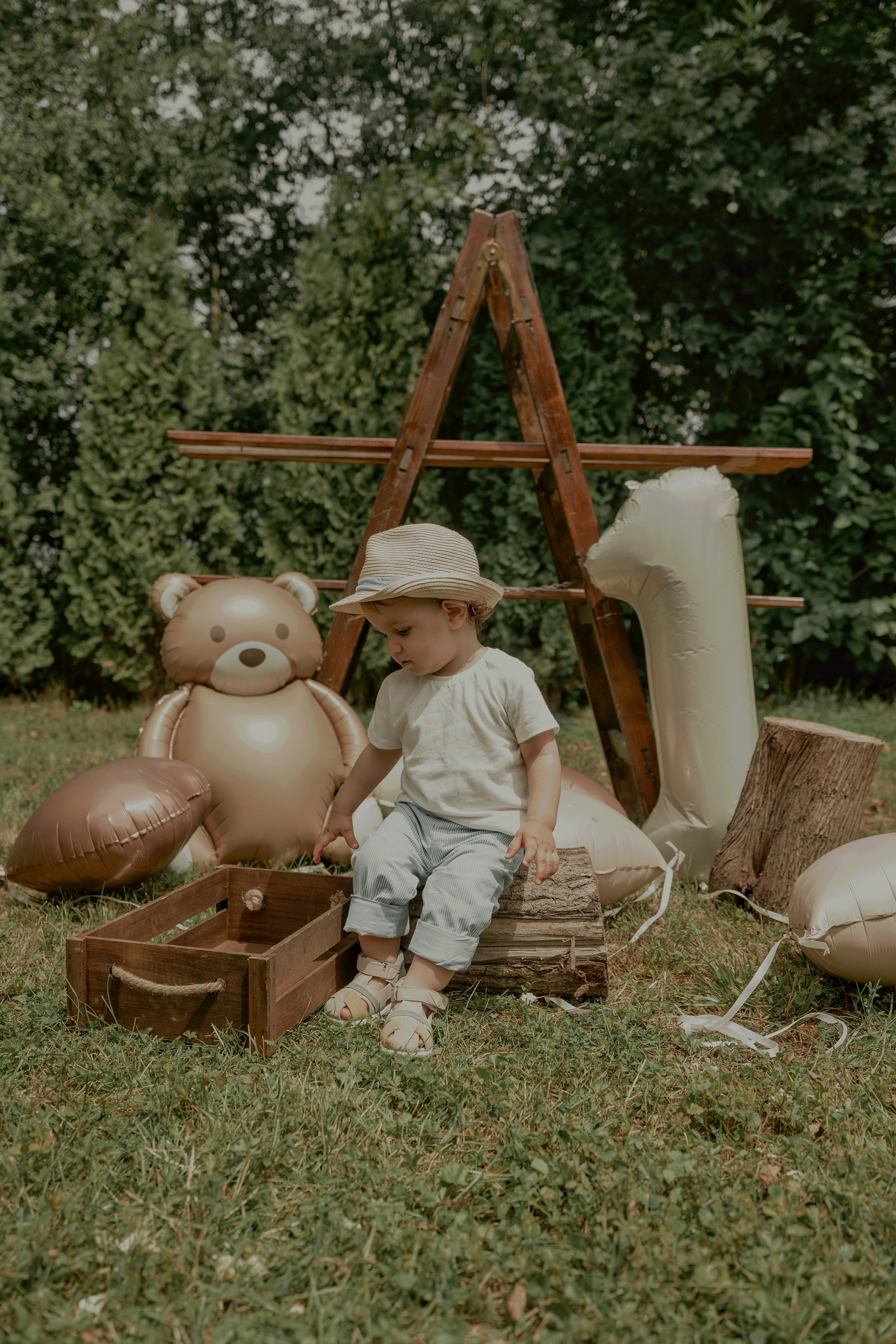 Armin — Micul explorator împlinește 1 an. Emotions Photo Art