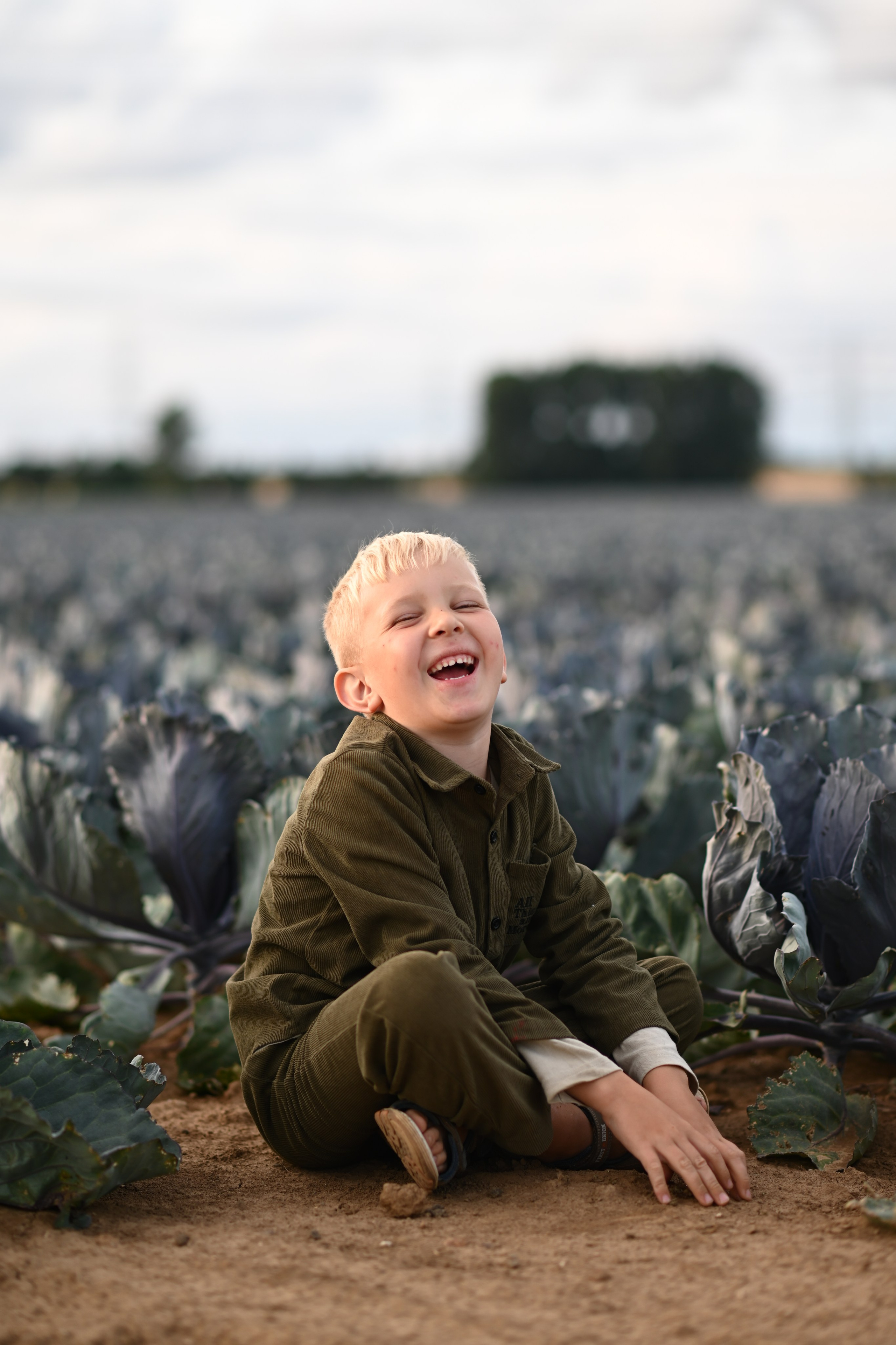 Sommerliche Kinderfotos im Weizenfeld und Kohlfeld.