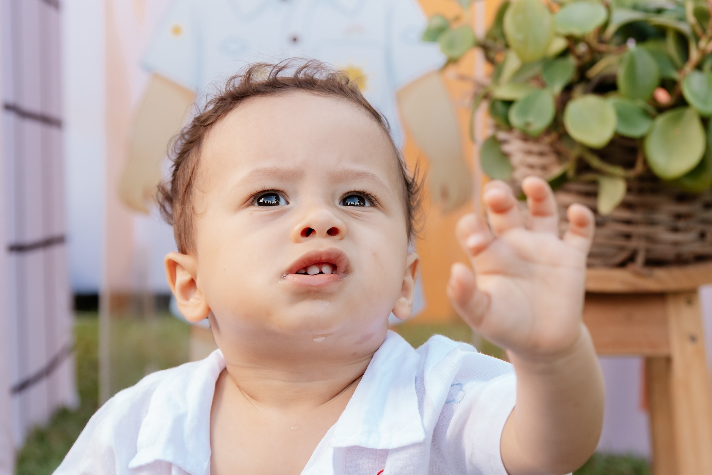 Bento 1 ano • Festa infantil em A Casa com Jardim | Fotografia de Família em Brasília e Recife. Fotógrafa em Brasília e Recife | Ensaios de família, gestante e festas infantis — Ize Fotografia