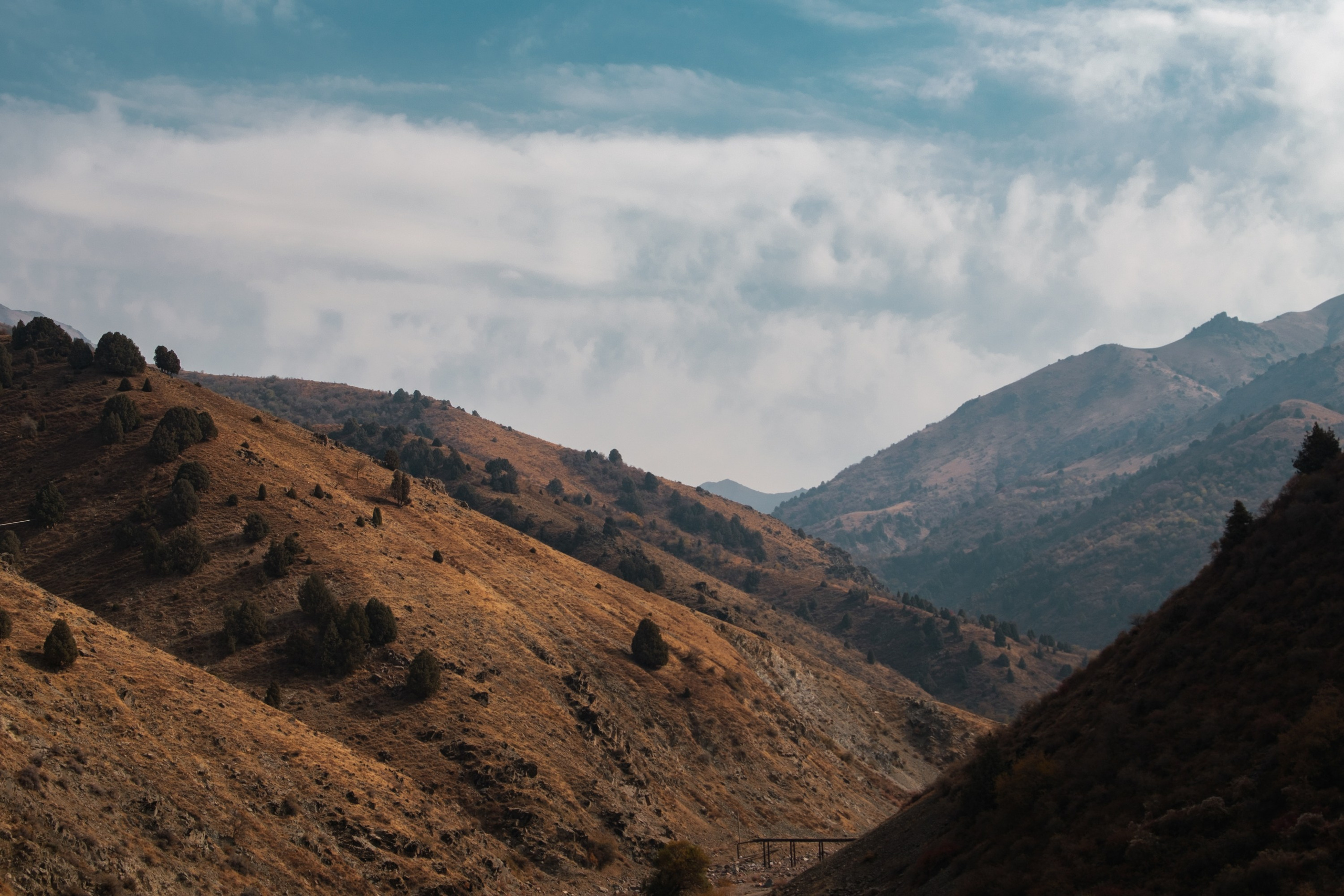 Обзор на объектив 16-300мм Sigma. Личные впечатления и опыт использования. Фотограф Григорий Кравец