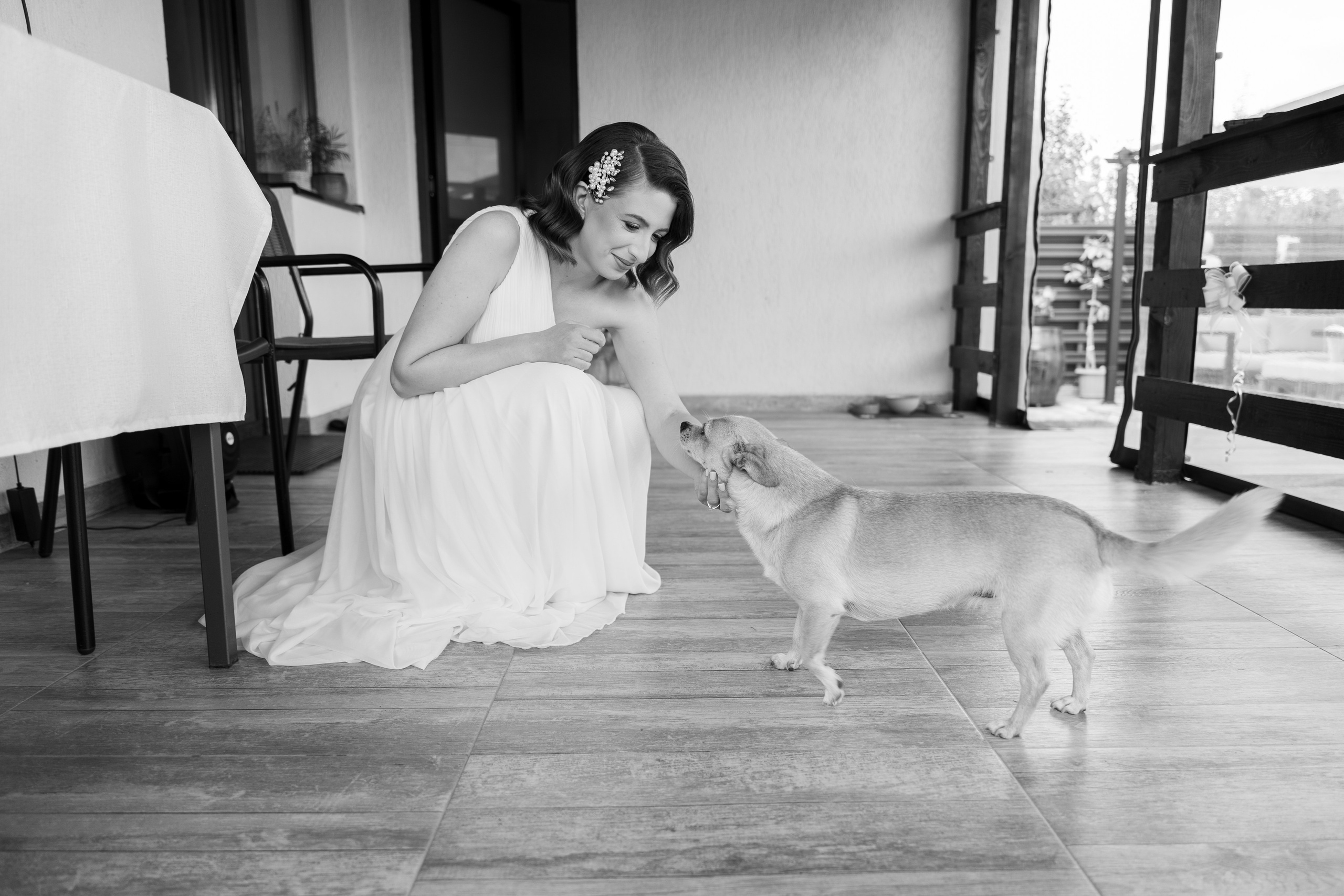 Ana & Mihai. Fotograf evenimente, fotograf nunta, fotograf botez