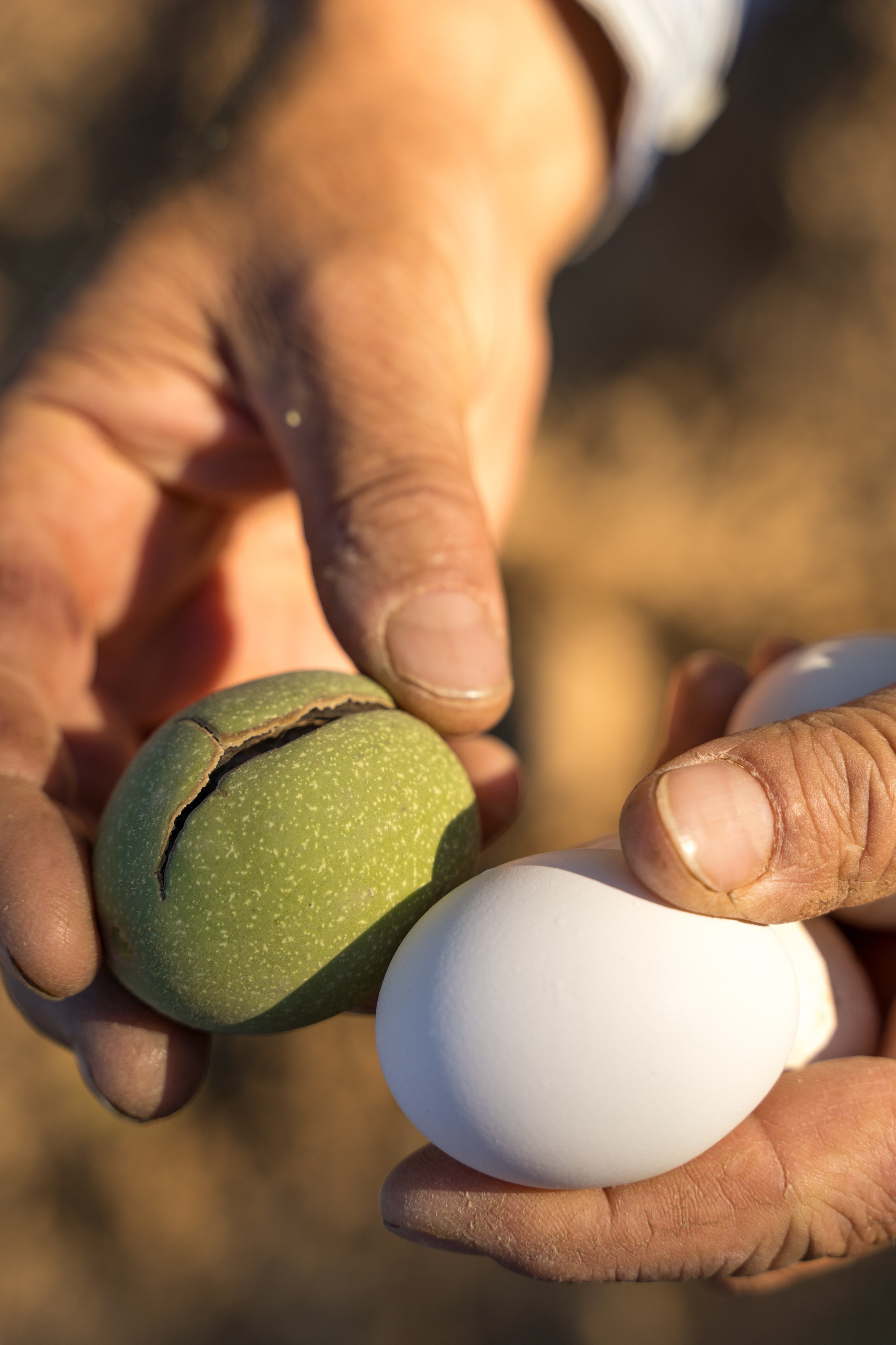 Ирина, фотограф в Анталии. Фотосессии в Кемере, Белеке, Сиде, Бодруме, Каше и Фетхие