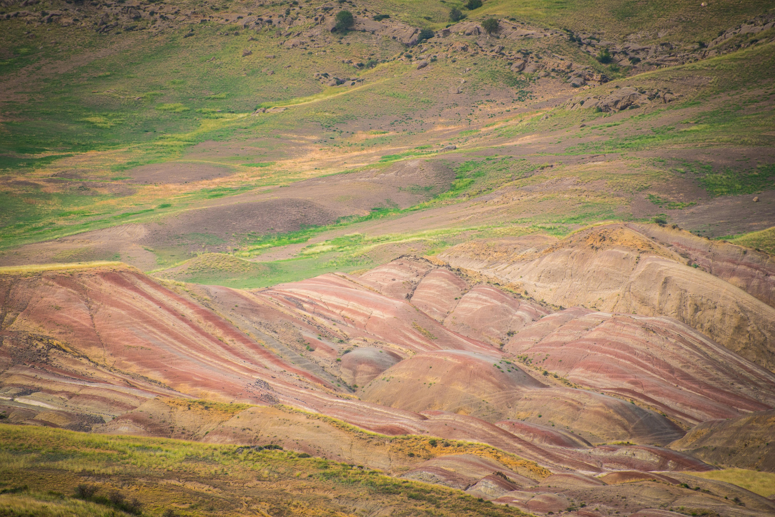 Gareji. Photographer in Tbilisi