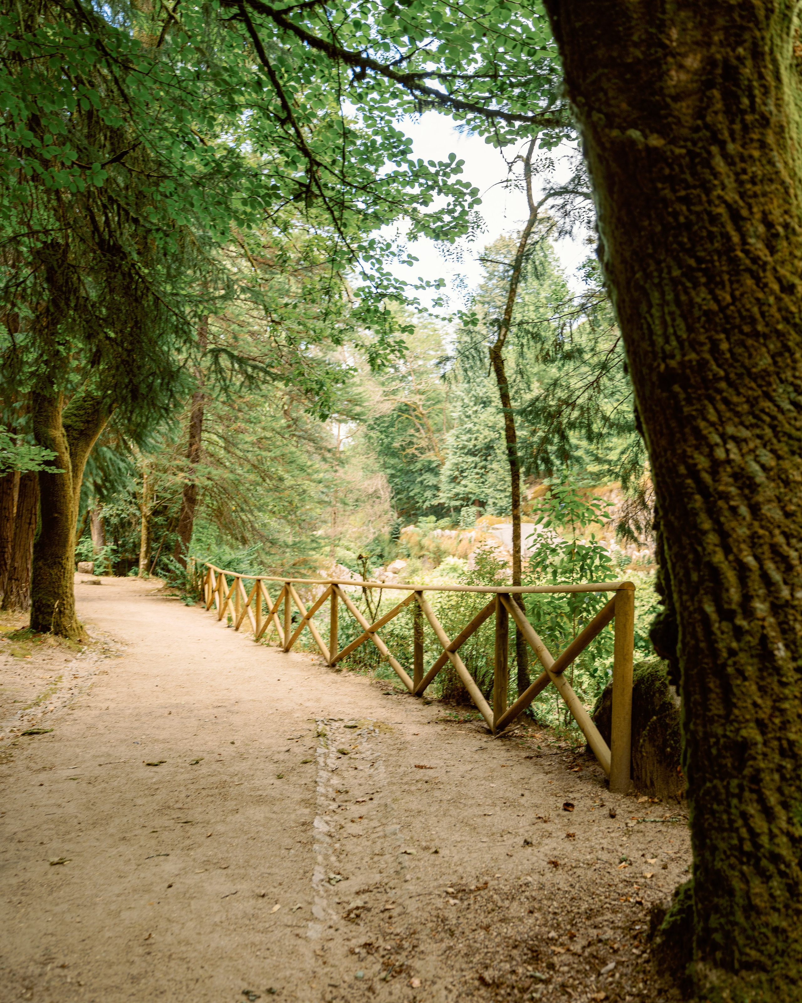Peneda-Geres National Park. Photo and video shoots, photo tours in Portugal — WePortugal