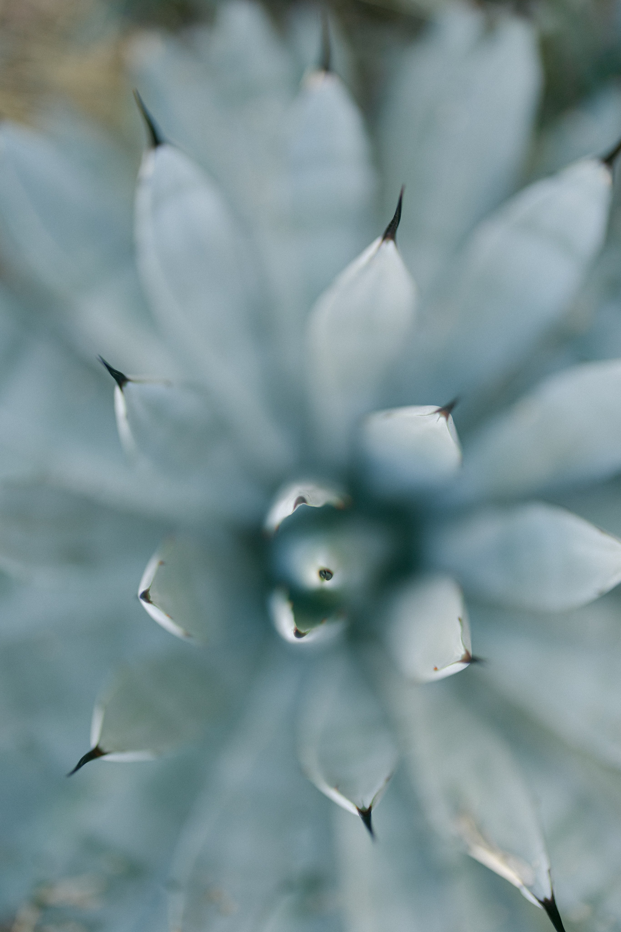 Фотосессия в г. Барановичи. Anastasia Post: Wedding and Editorial Photography