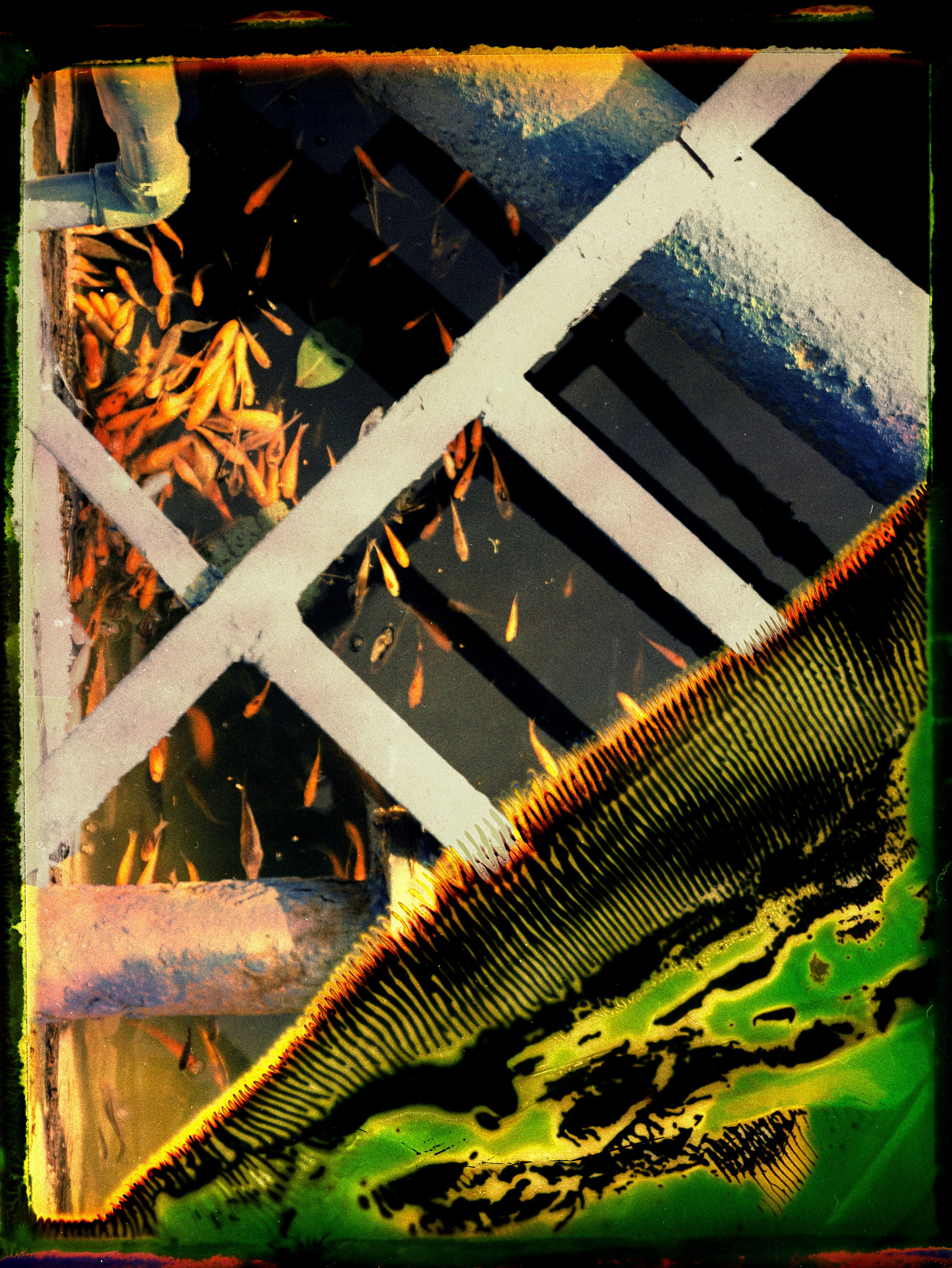 POLAROID. Www.sananaleskerov.com