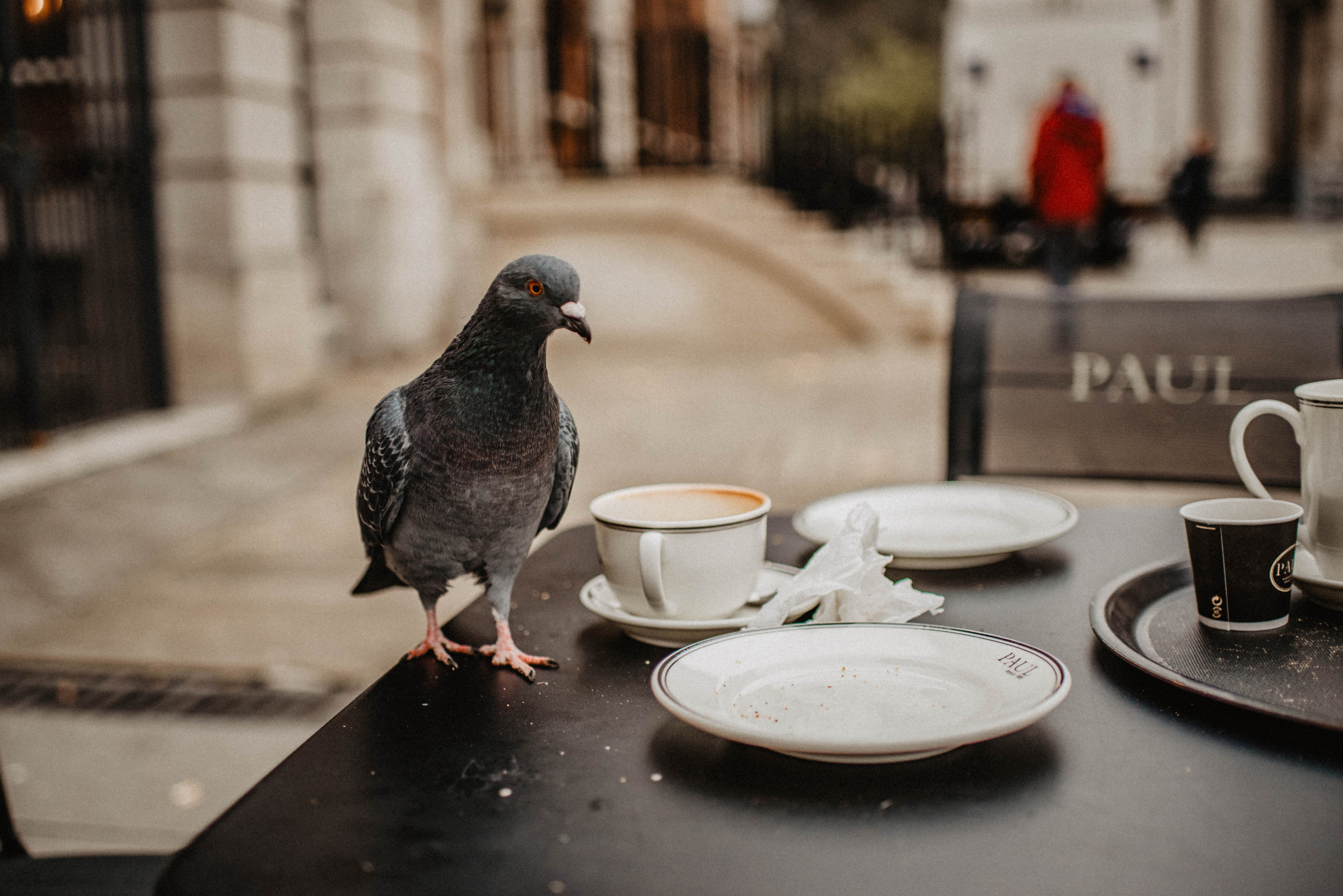 London. Lifestyle, wedding and family photographer