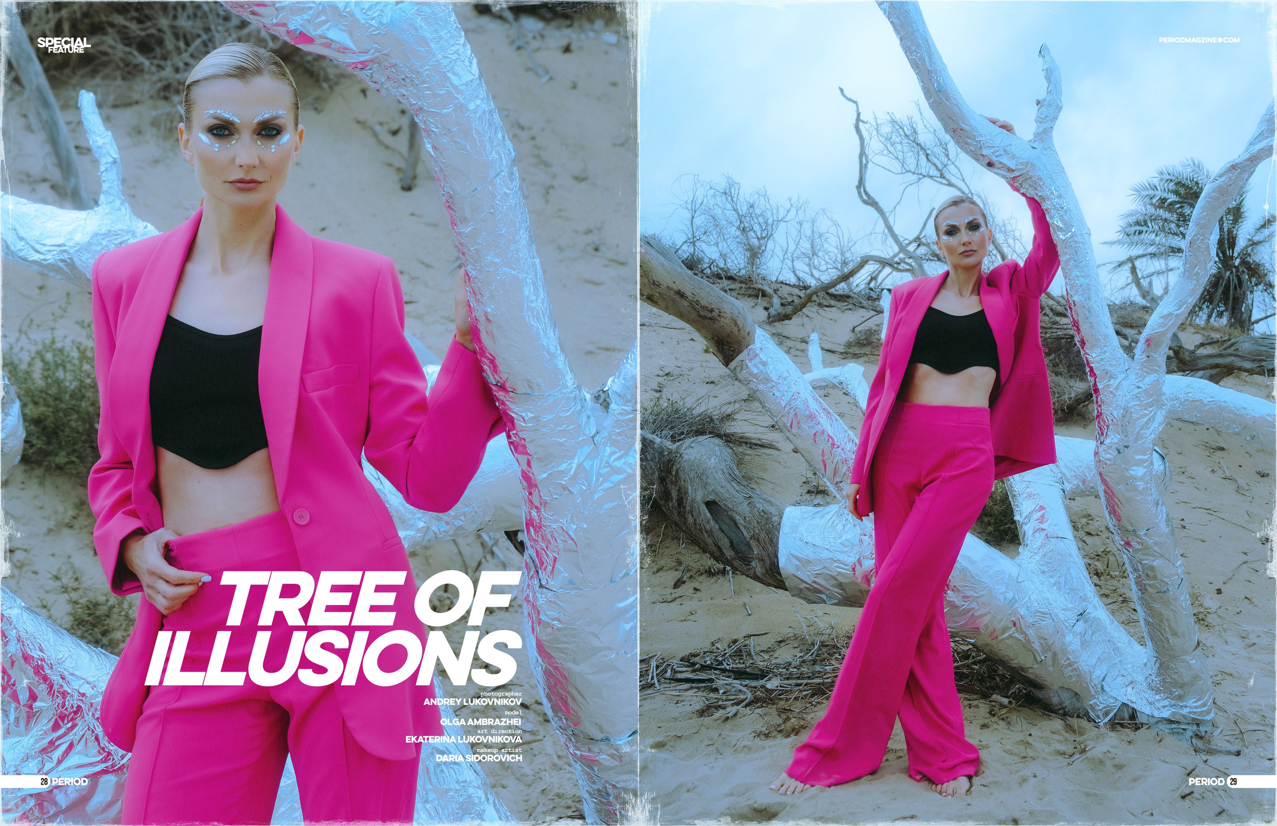 The best publications of the project Tree of Illusions