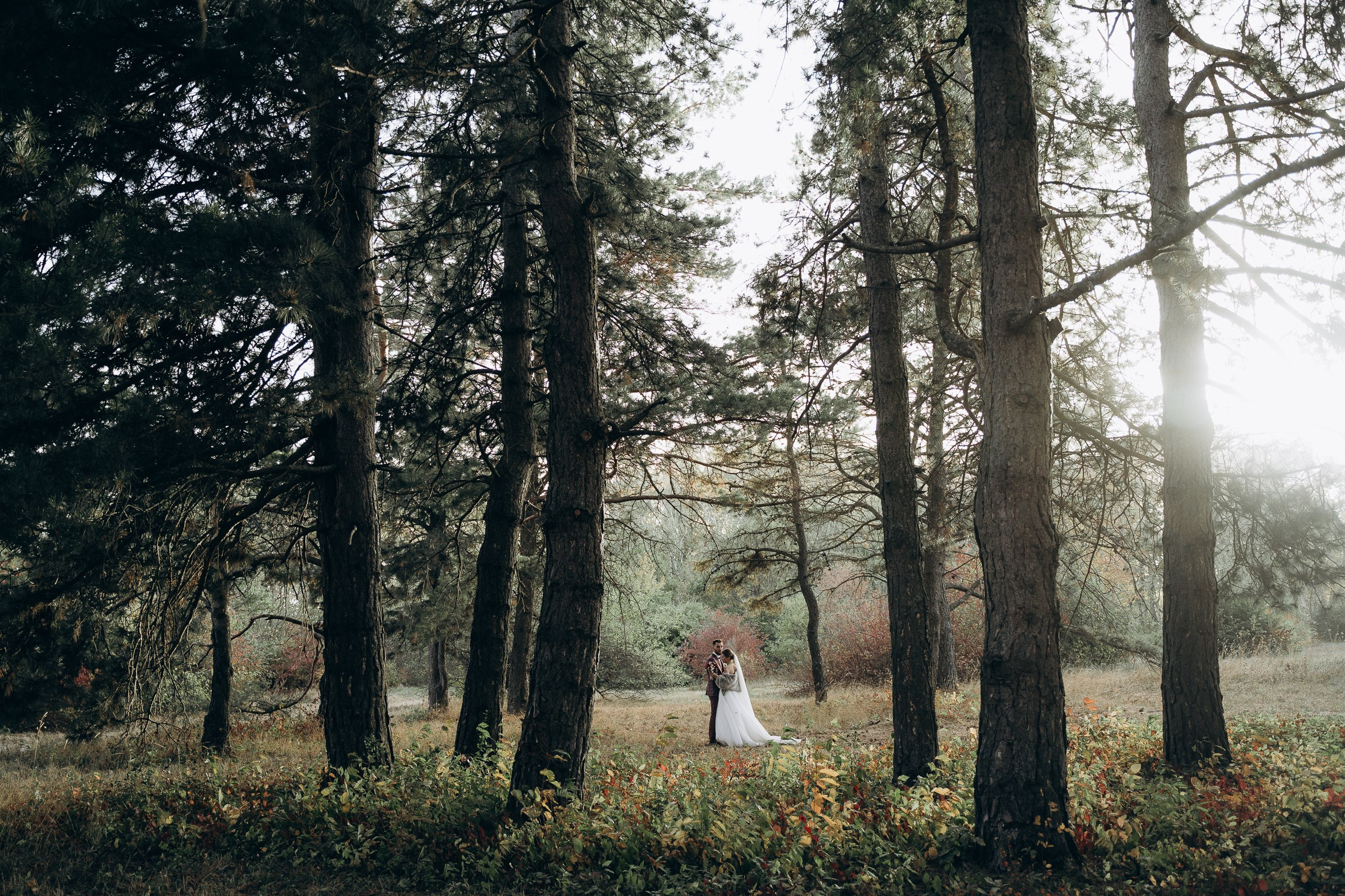 Home_OLD. Orange County Wedding Photographer & Videographer | Candid & Timeless Wedding Photo + Video | Italiantsev