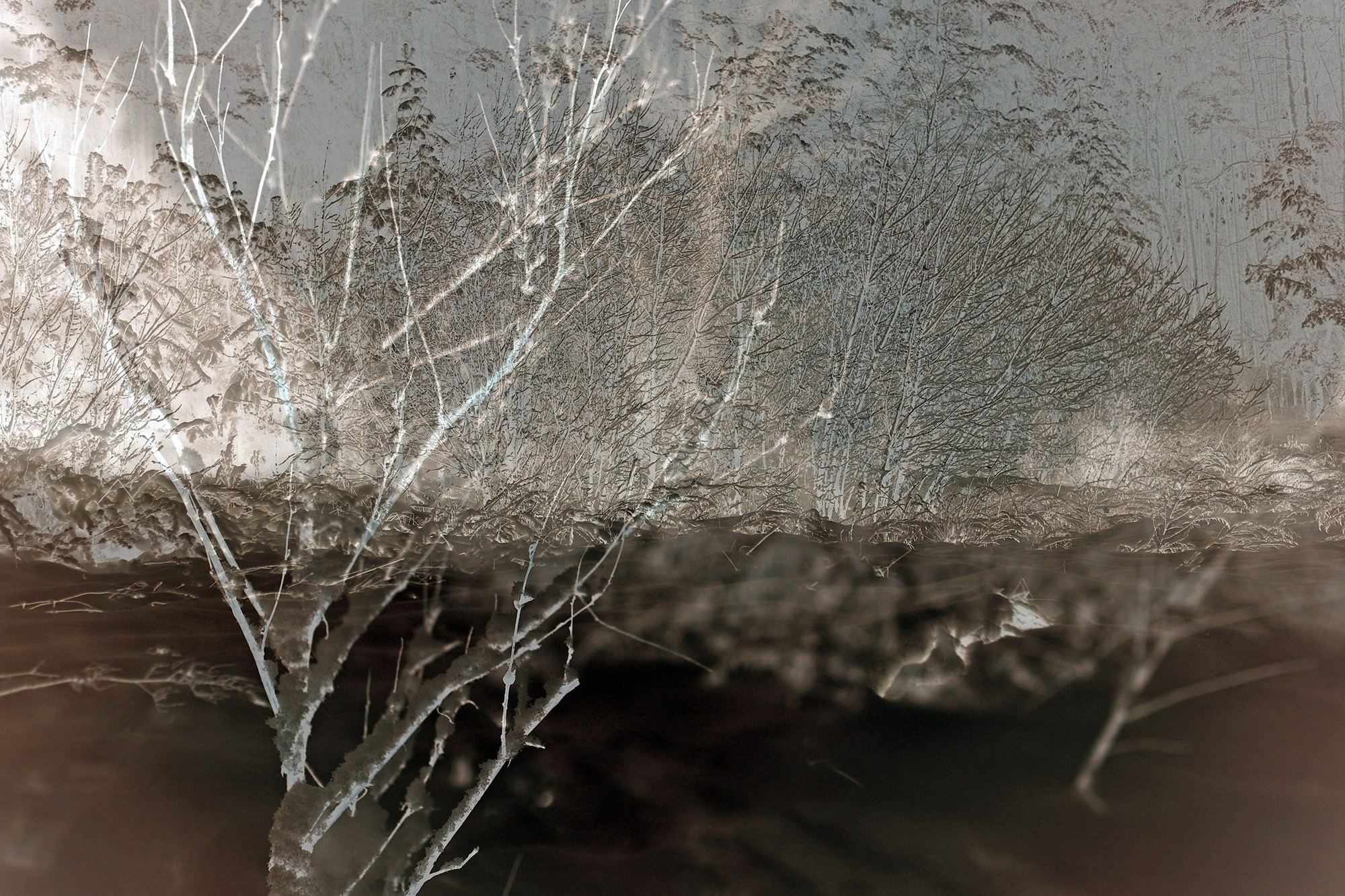 Biography of the photographer Alena Novgorodtseva. Portrait photographer Alena Novgorodtseva