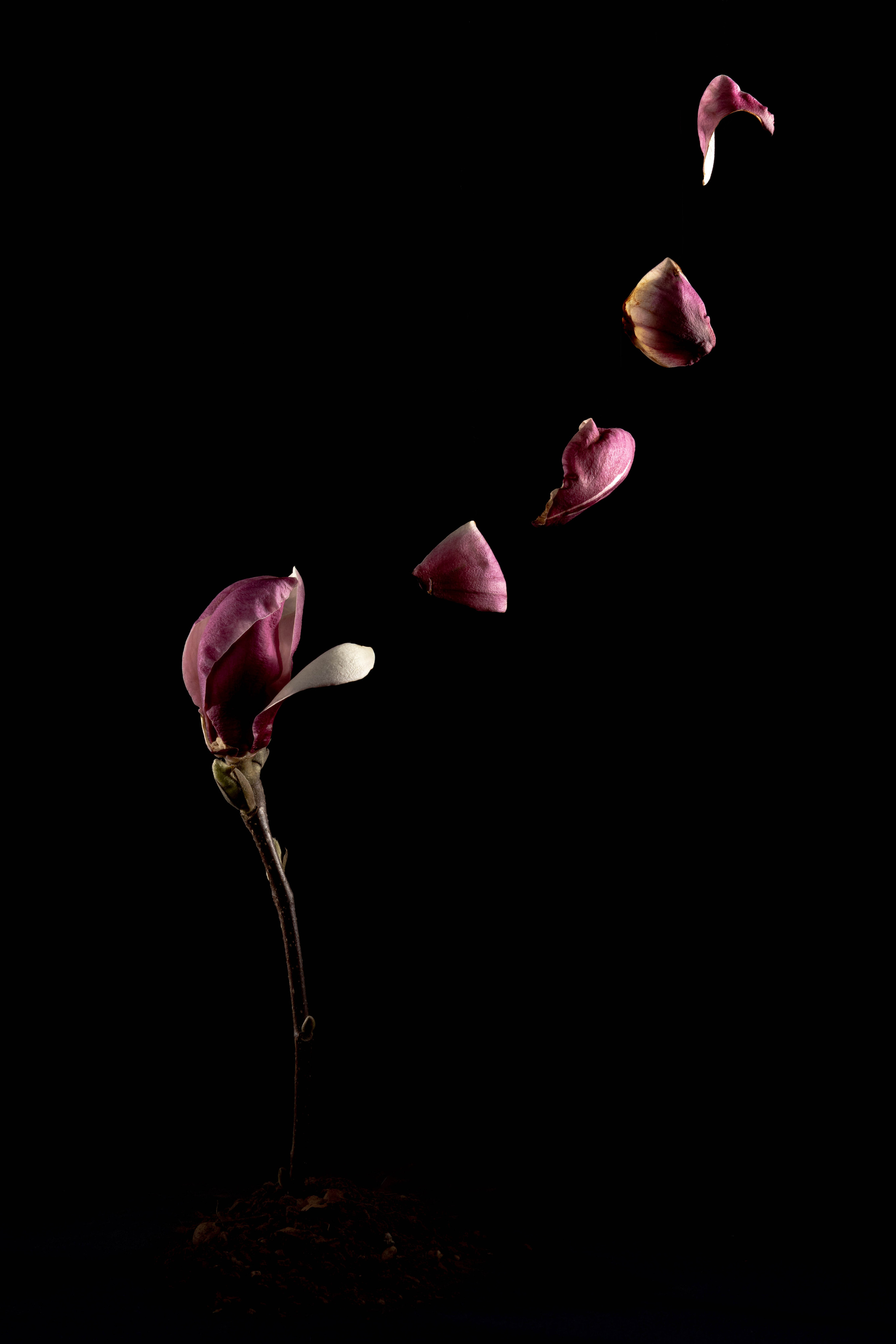 Vural Sahin I Photography & Videography
