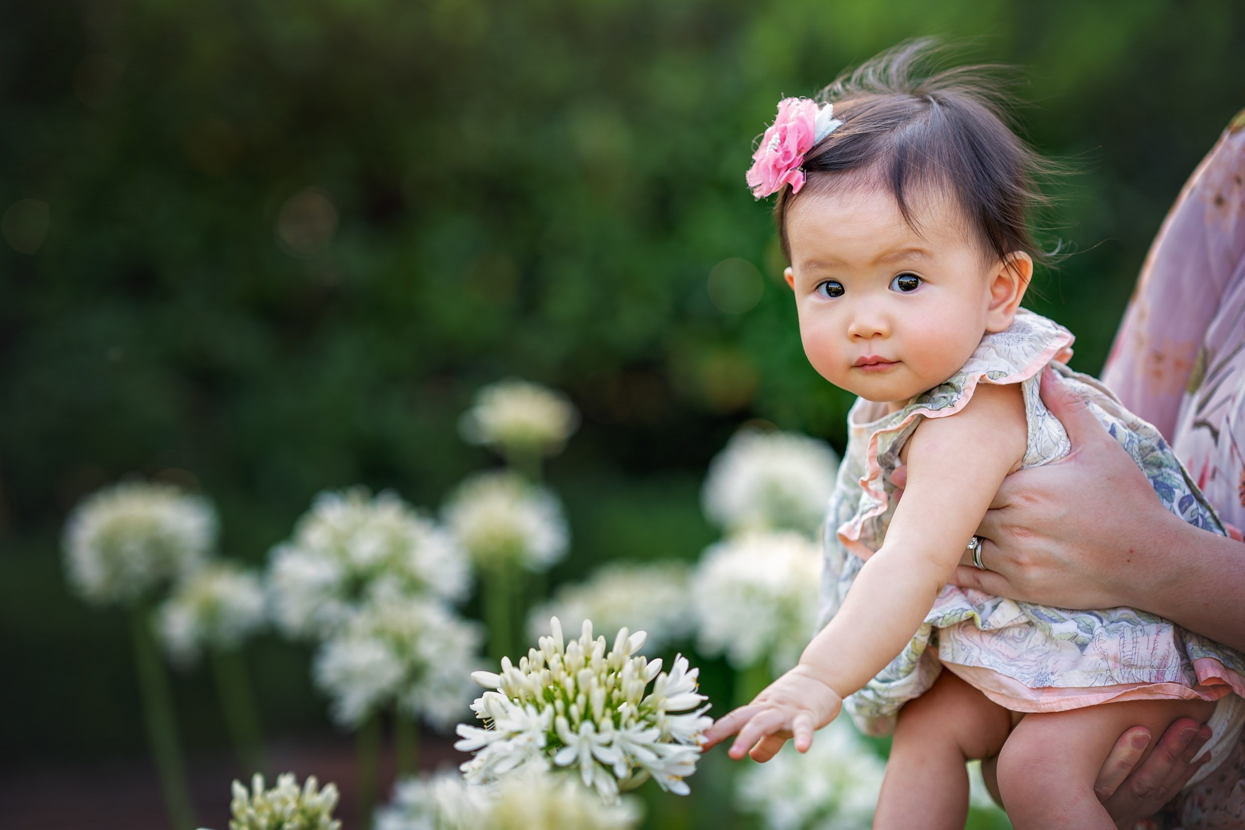 Capturing the Spirit of Childhood: A Sunny Family Photoshoot in Sydney