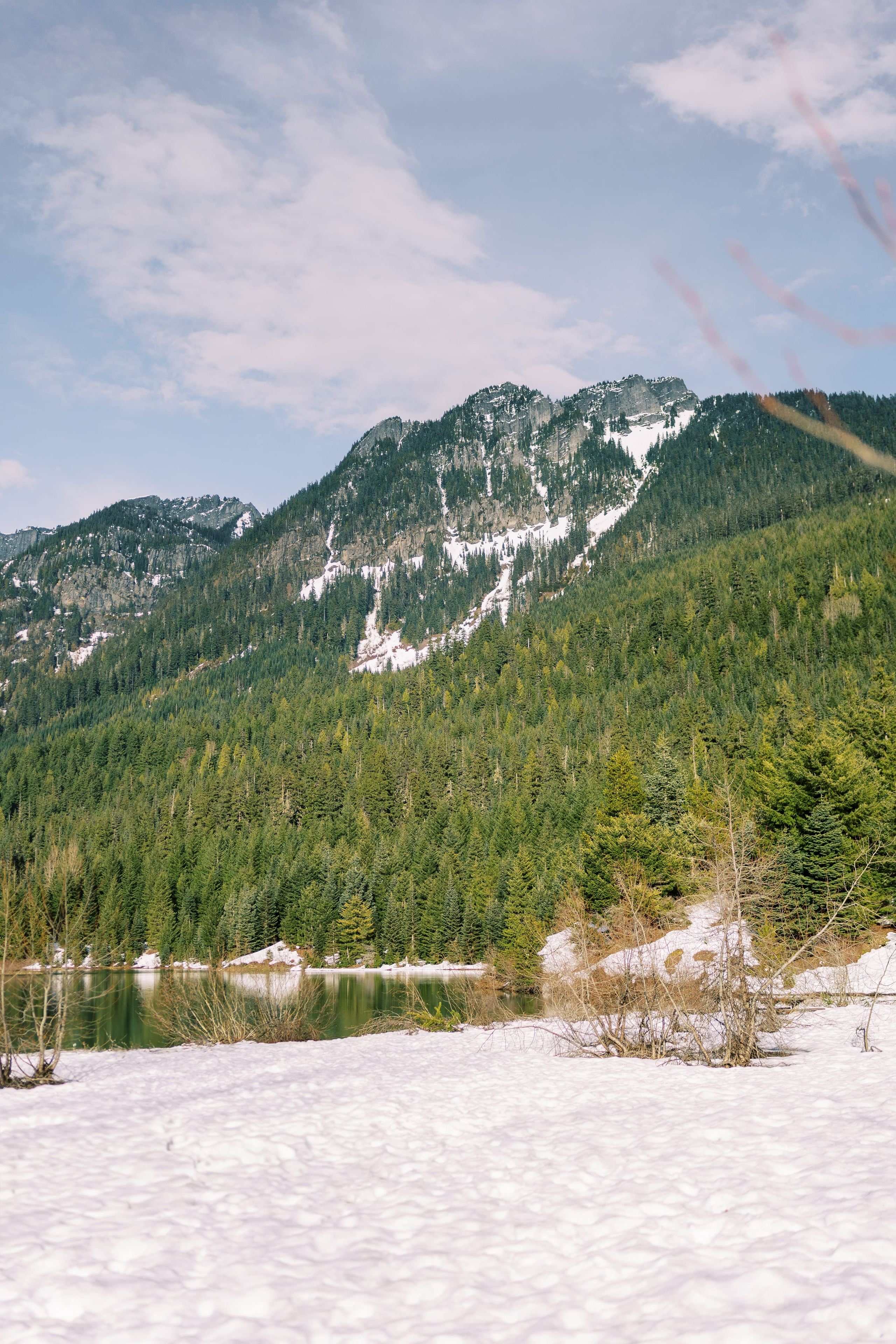 Engagement photo shoot Caitlyn & Riley / April 2024. Gold Creek Pond, WA. EVAN ARISTOV WEDDING PHOTOGRAPHY — Seattle Wedding Photographer