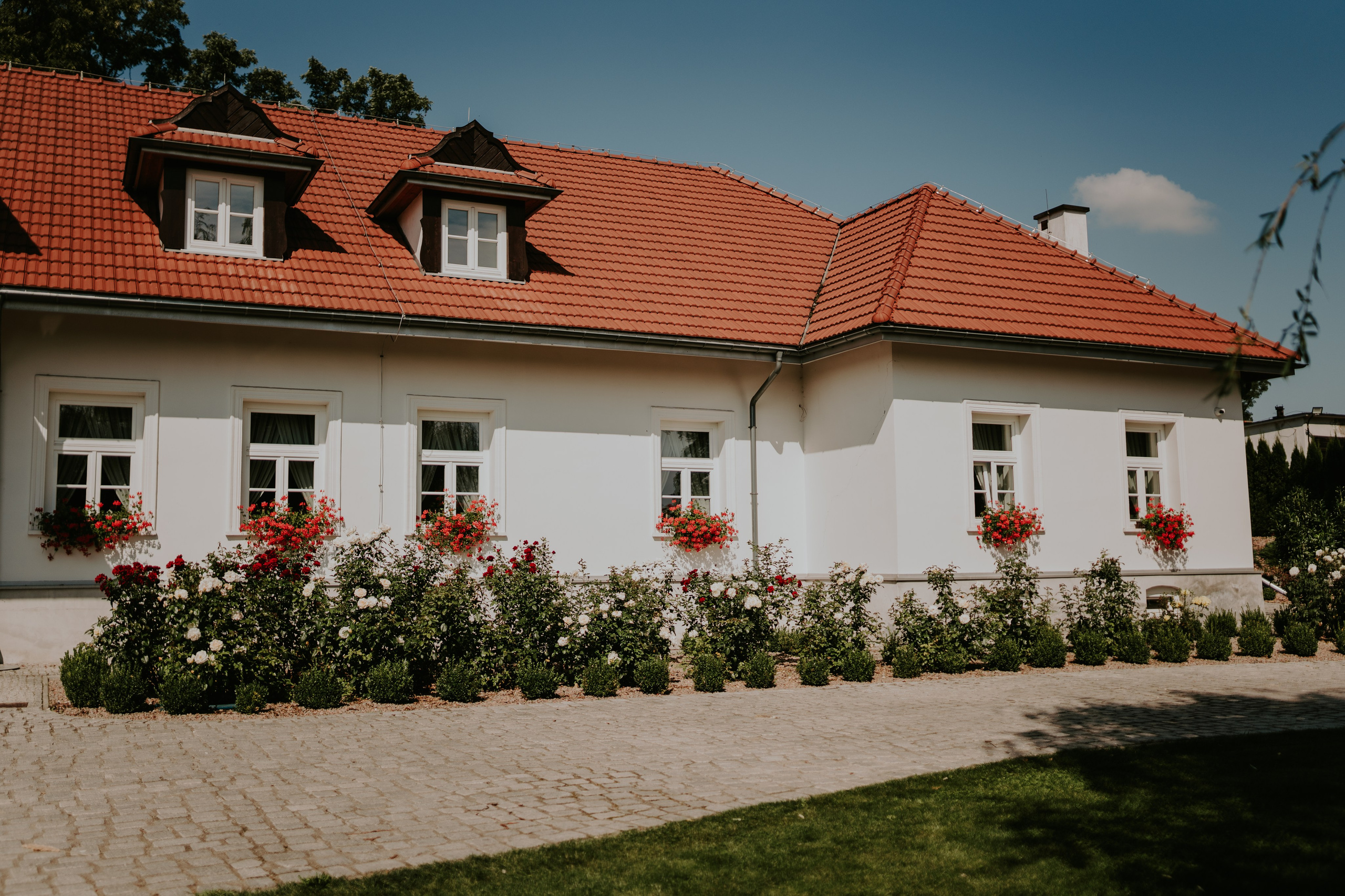 Dwór Wierzbno: plenerowy ślub pod wierzbą. Karkowskafoto - fotografia miłości