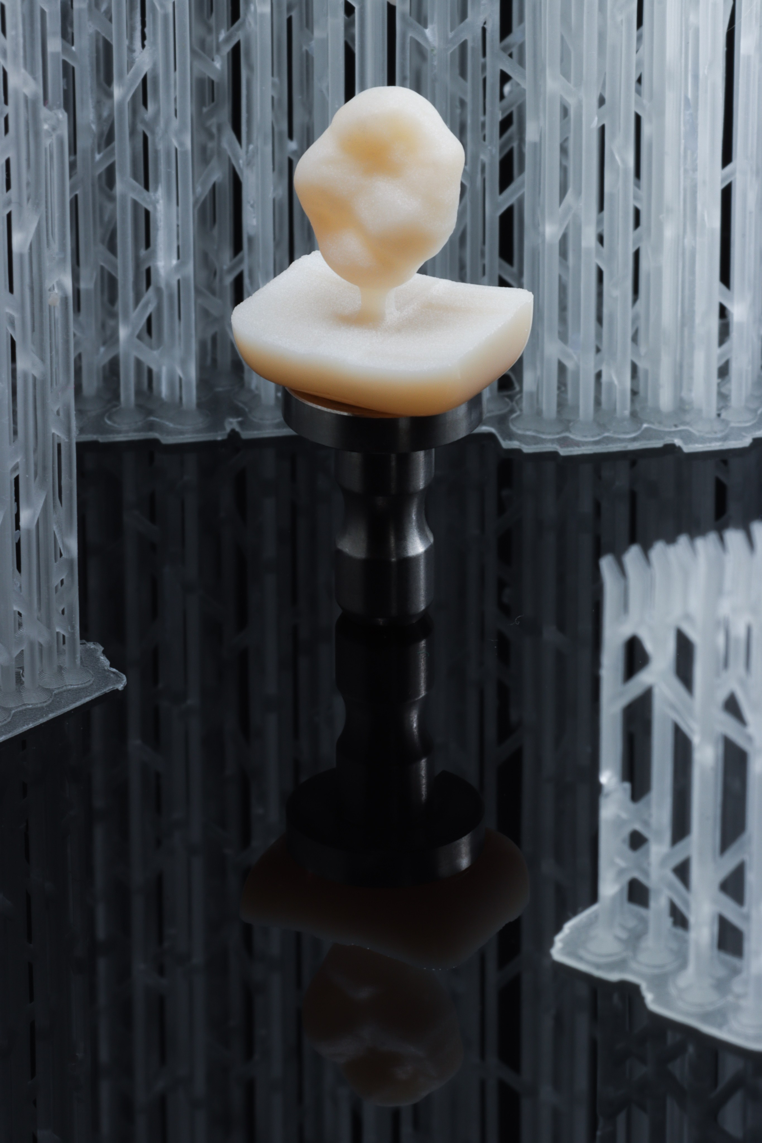 Business Content & Storytelling. Fotograf & Videograf de Eveniment din Iași Ph.Vladimir