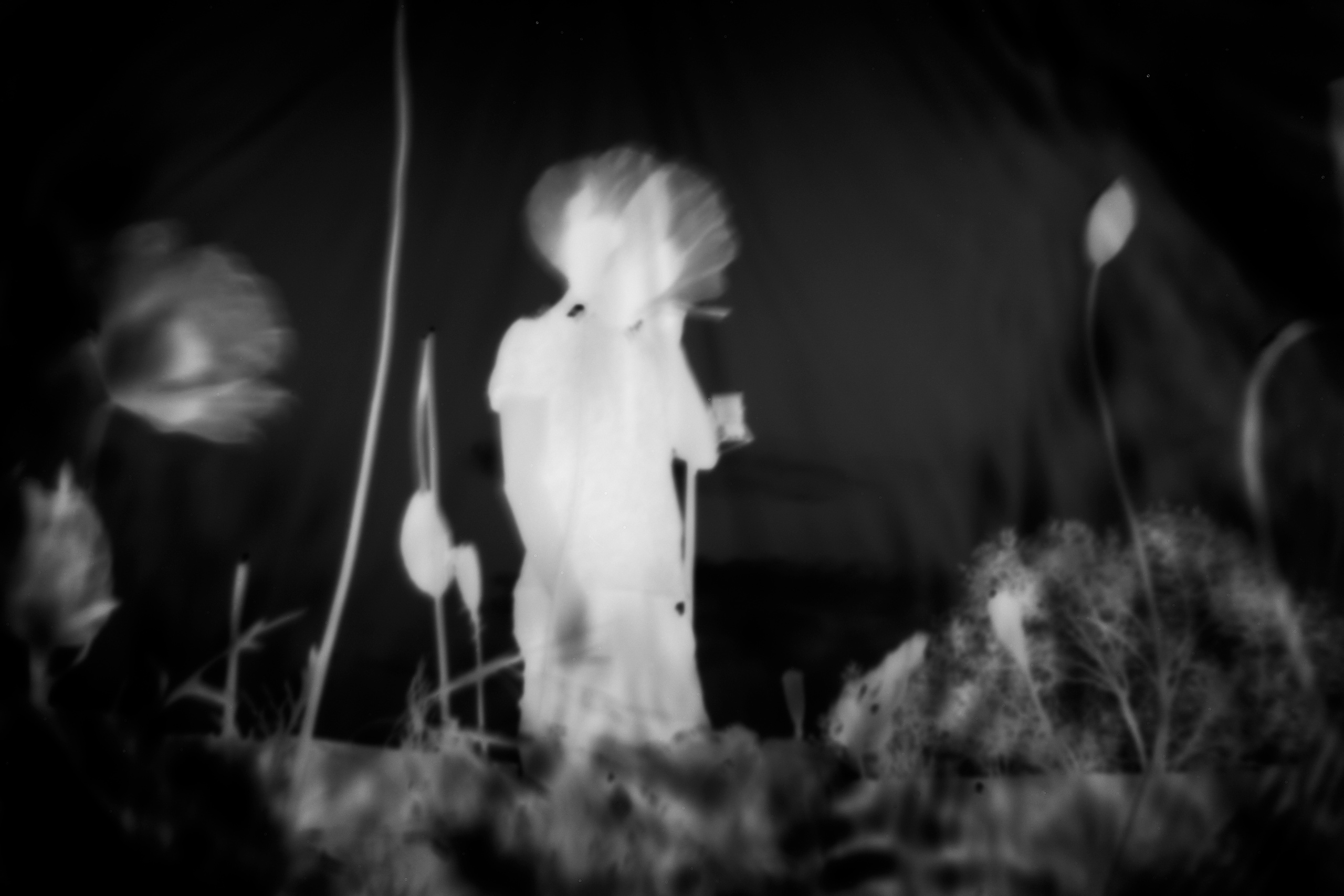 Afterimage. GLISH ART — Timofey Glinin & Anastasia Shubina