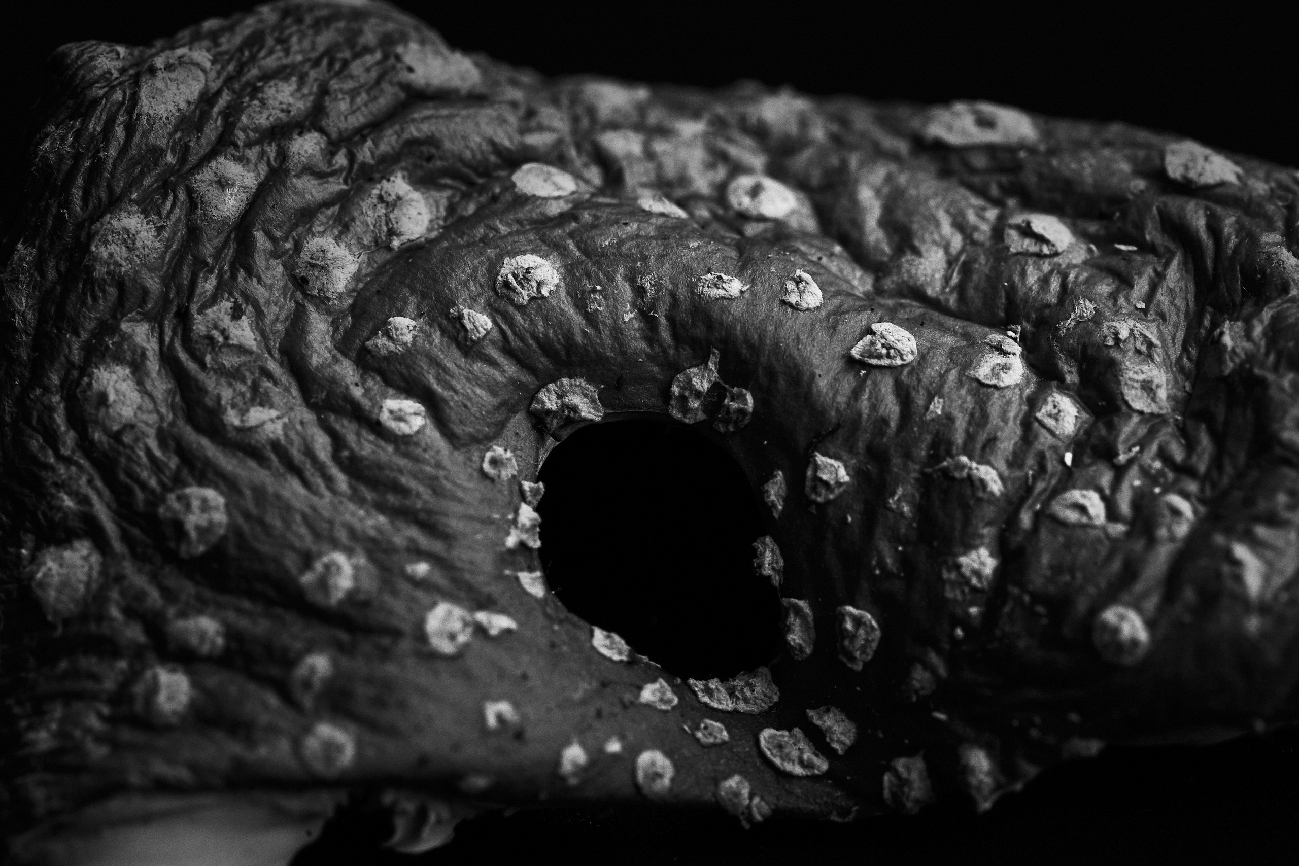 Amanita muscaria. GLISH ART — Timofey Glinin & Anastasia Shubina