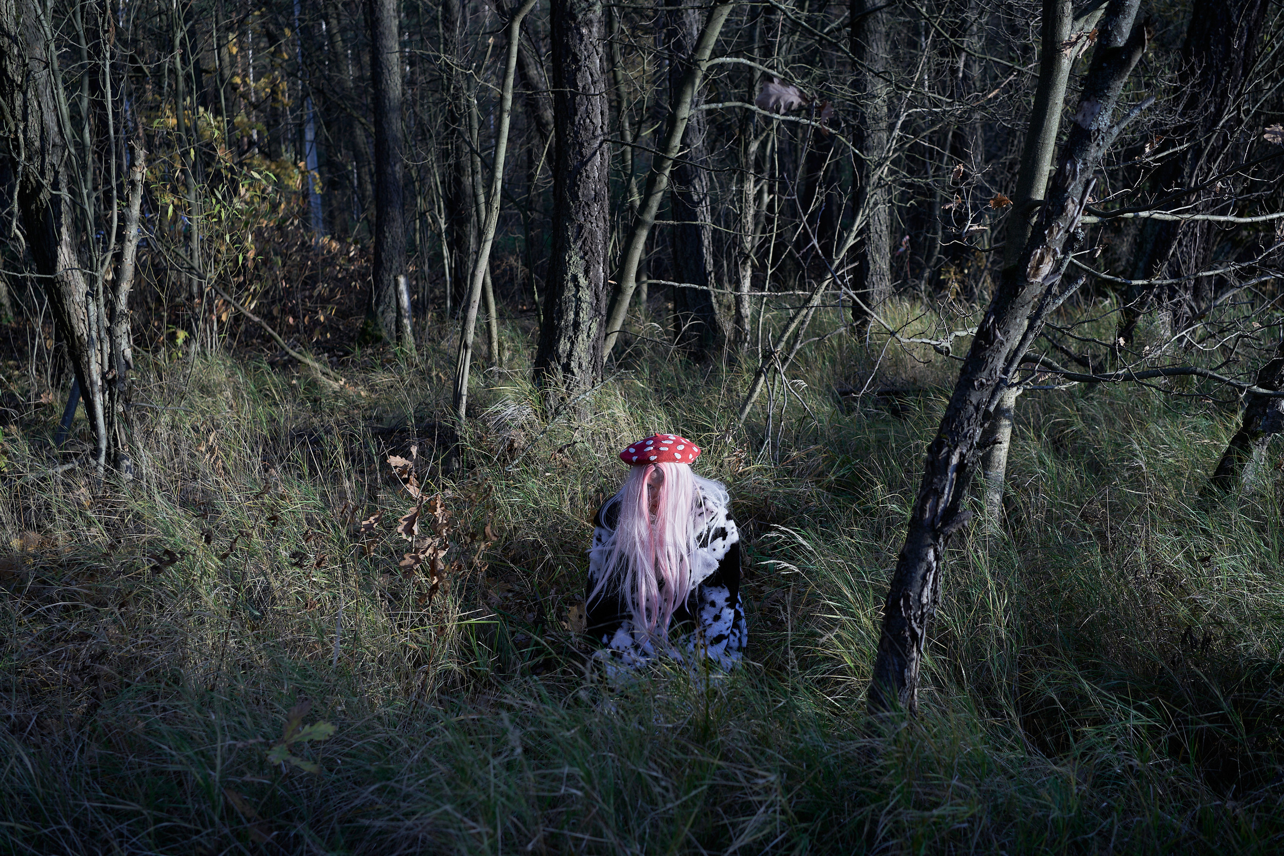 Amanita muscaria. GLISH ART — Timofey Glinin & Anastasia Shubina