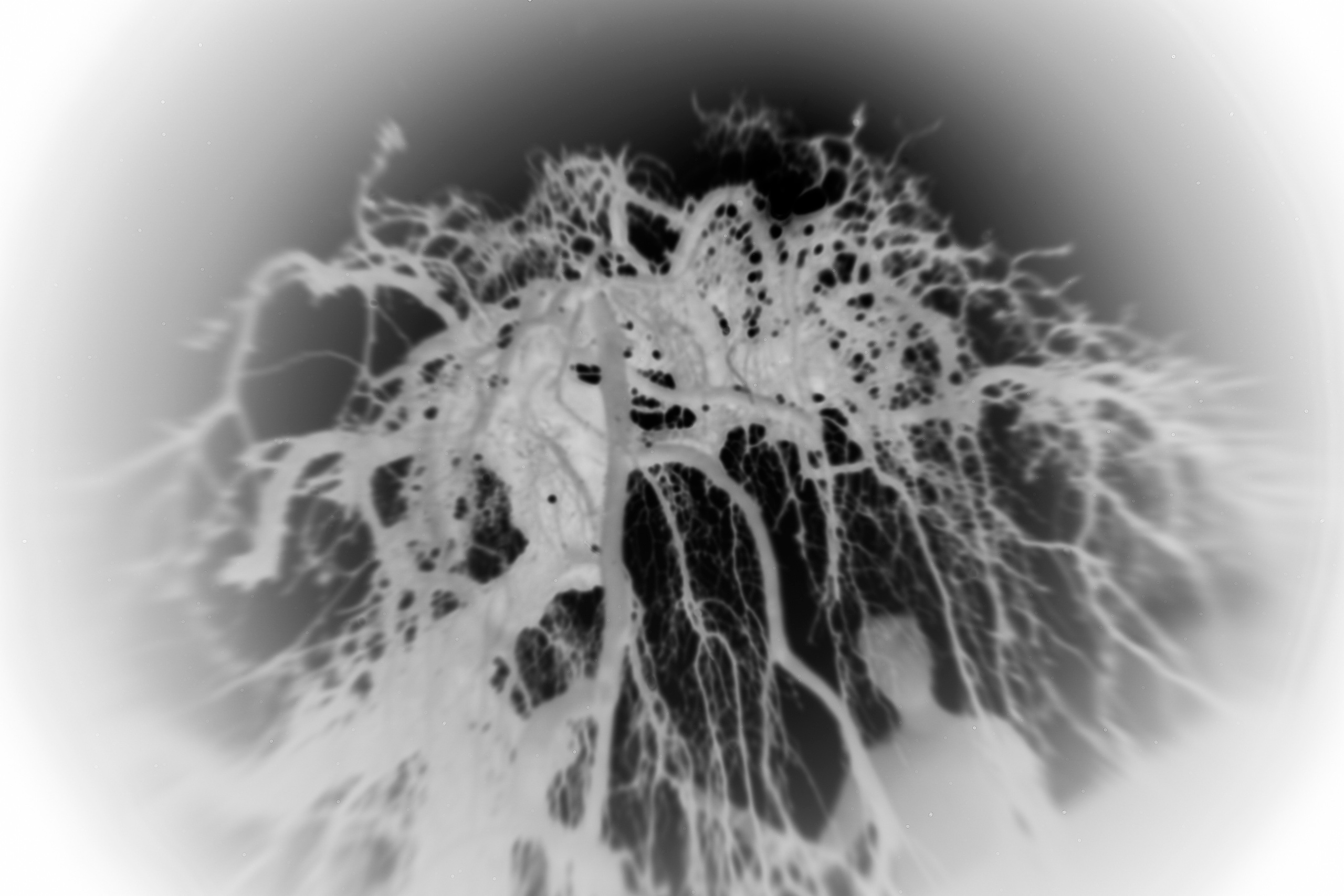 Afterimage. GLISH ART — Timofey Glinin & Anastasia Shubina