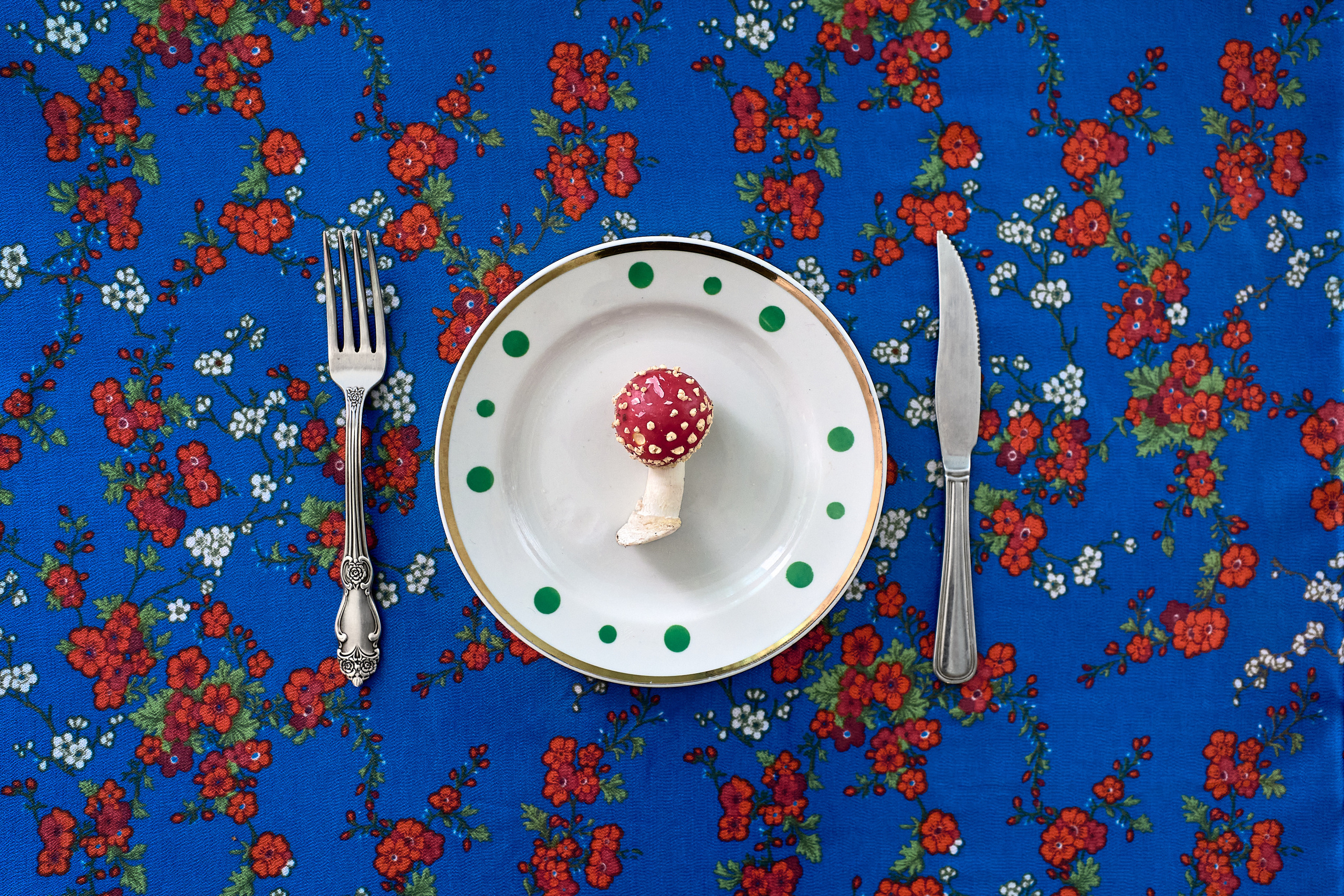 Amanita muscaria. GLISH ART — Timofey Glinin & Anastasia Shubina