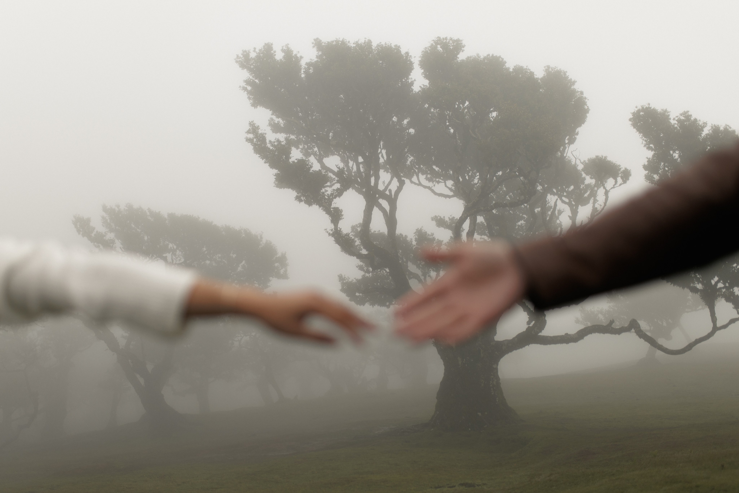 Dream Proposal at Seixal Beach — Romantic Getaway in Madeira. Wedding photographer and videographer based in Timisoara, Romania