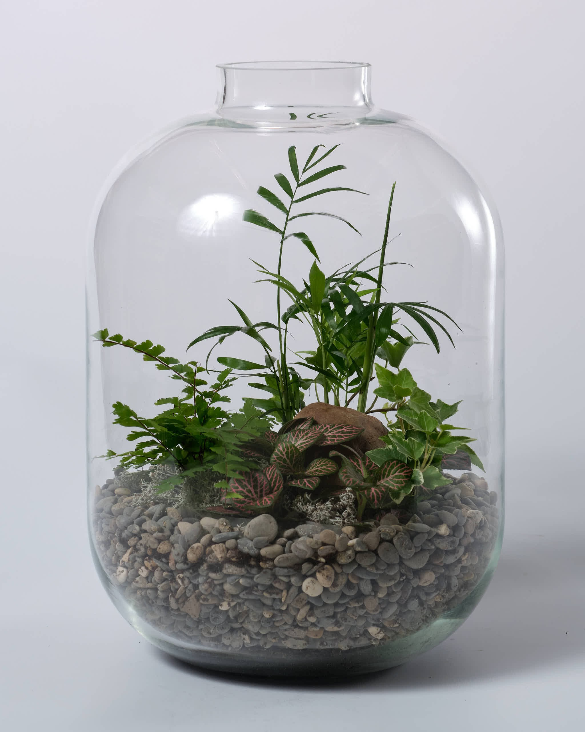 Floral Photography. Studio Sartale