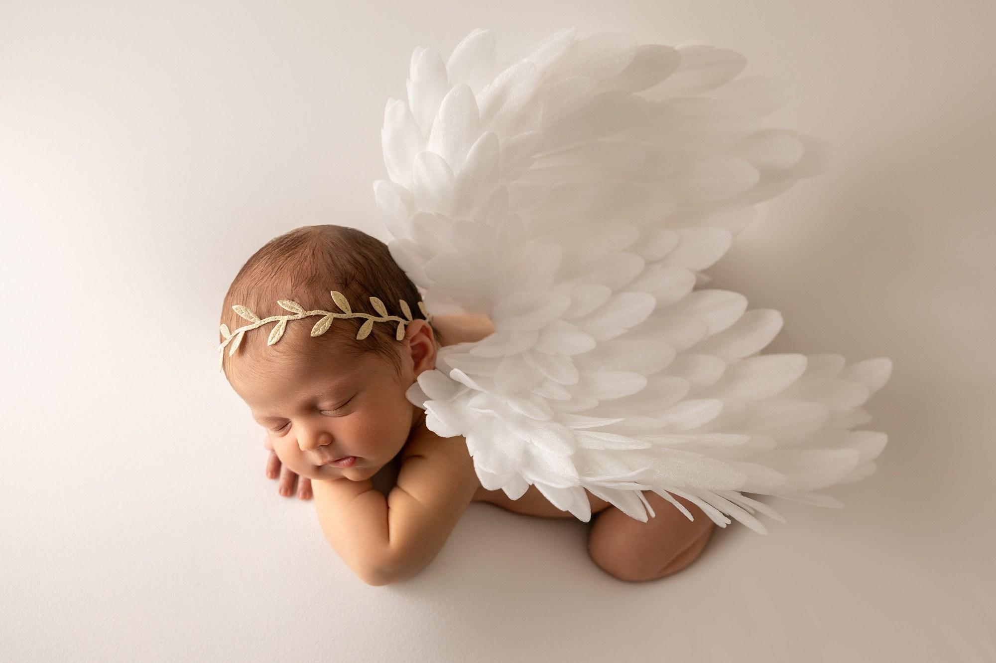 Newborn photographer in Tampa Bay Area, FL