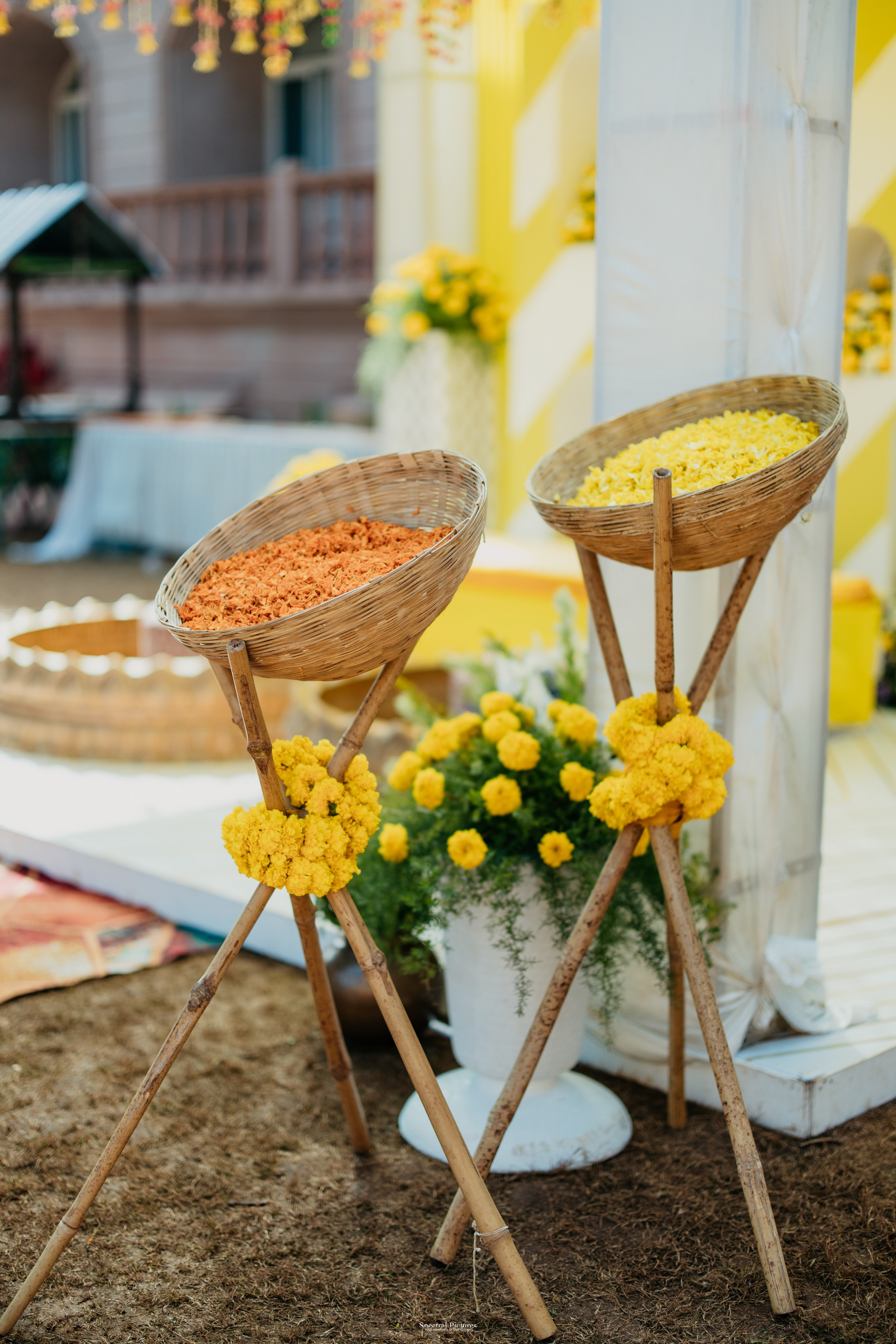 #THEPURALOVESTORY is a journey of two hearts growing in sync, across seasons, challenges, and memories