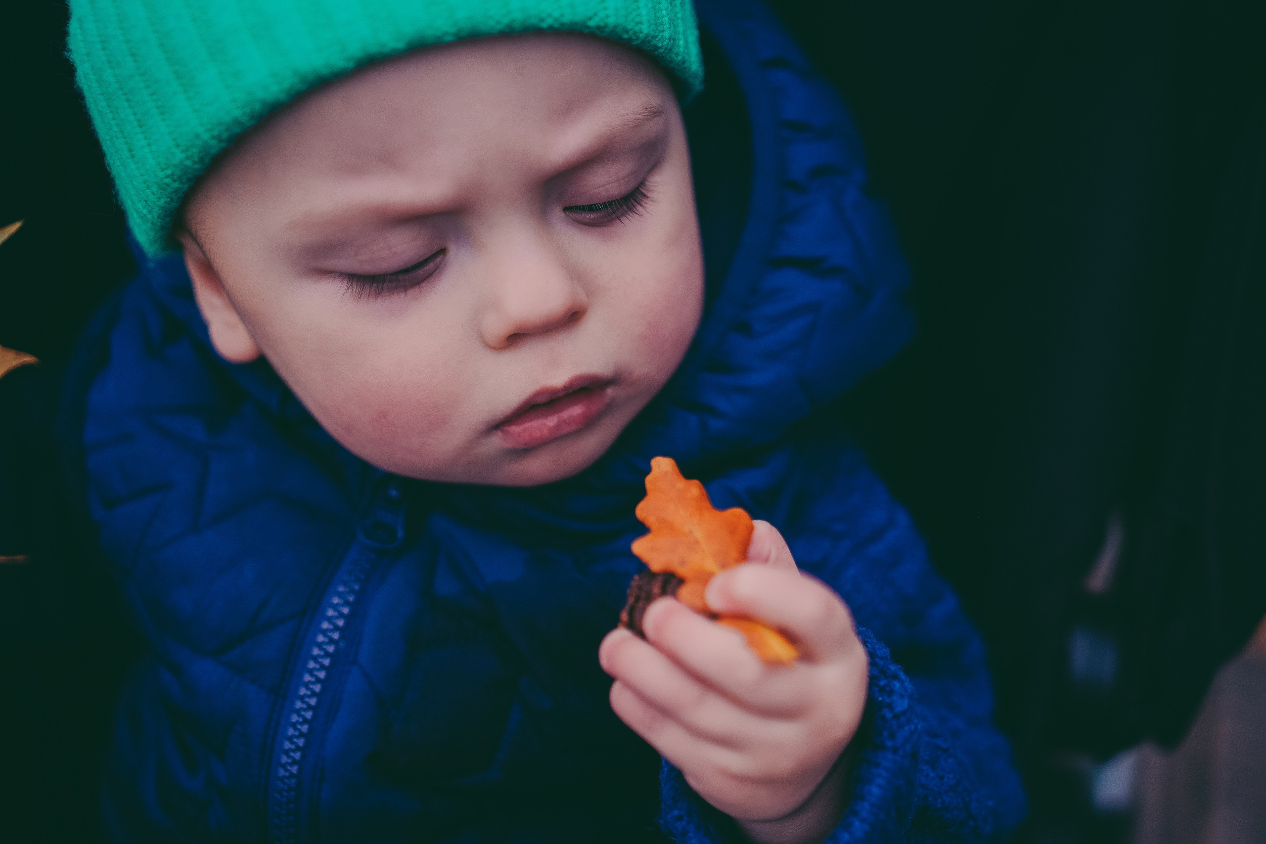 Family photo shoot in Brueton park