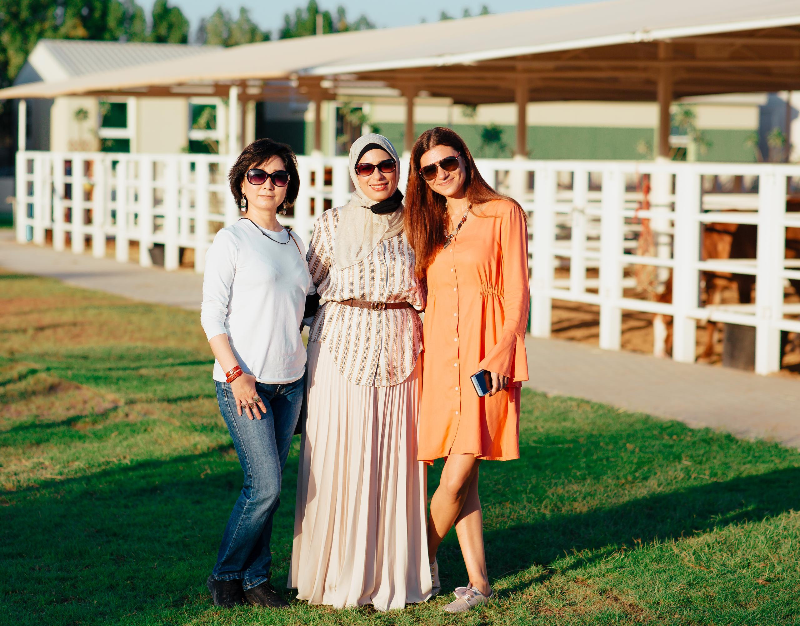 Horse photo session Dubai. Photographer in Dubai Dmitry Gromov