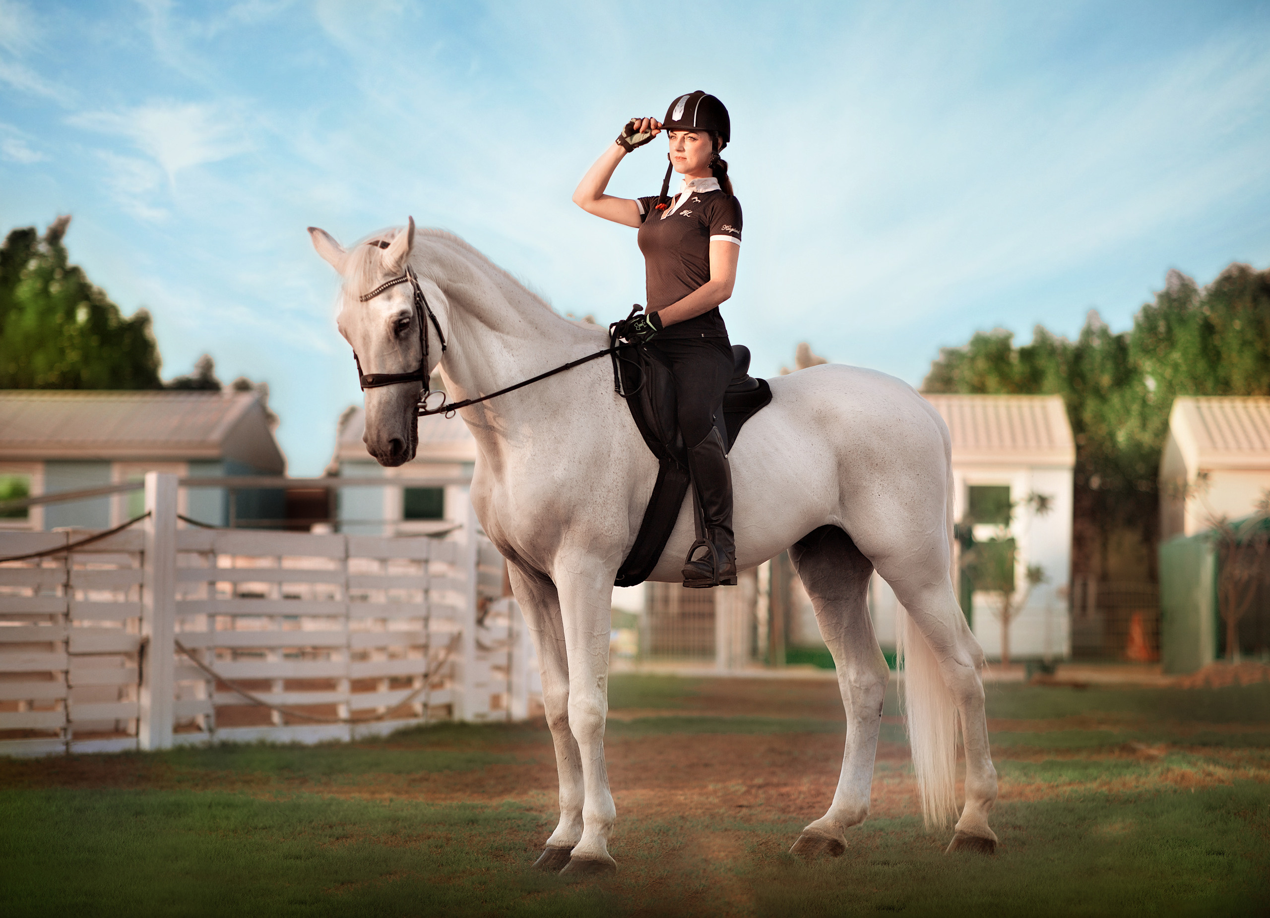 Horse photo session Dubai. Photographer in Dubai Dmitry Gromov