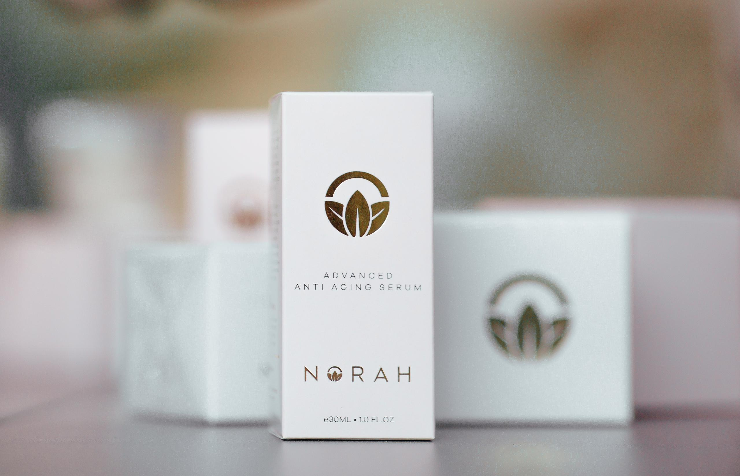 Horse photo session Dubai. Photographer in Dubai Dmitry Gromov